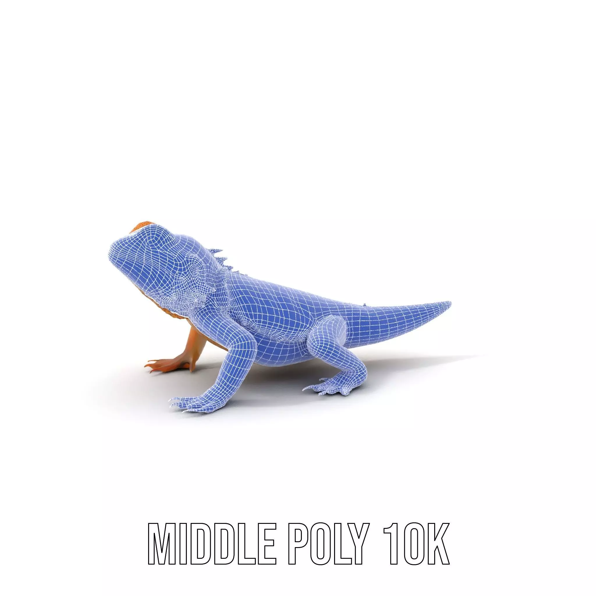 Golden Bearded Dragon model pack Low-poly 3D model_21