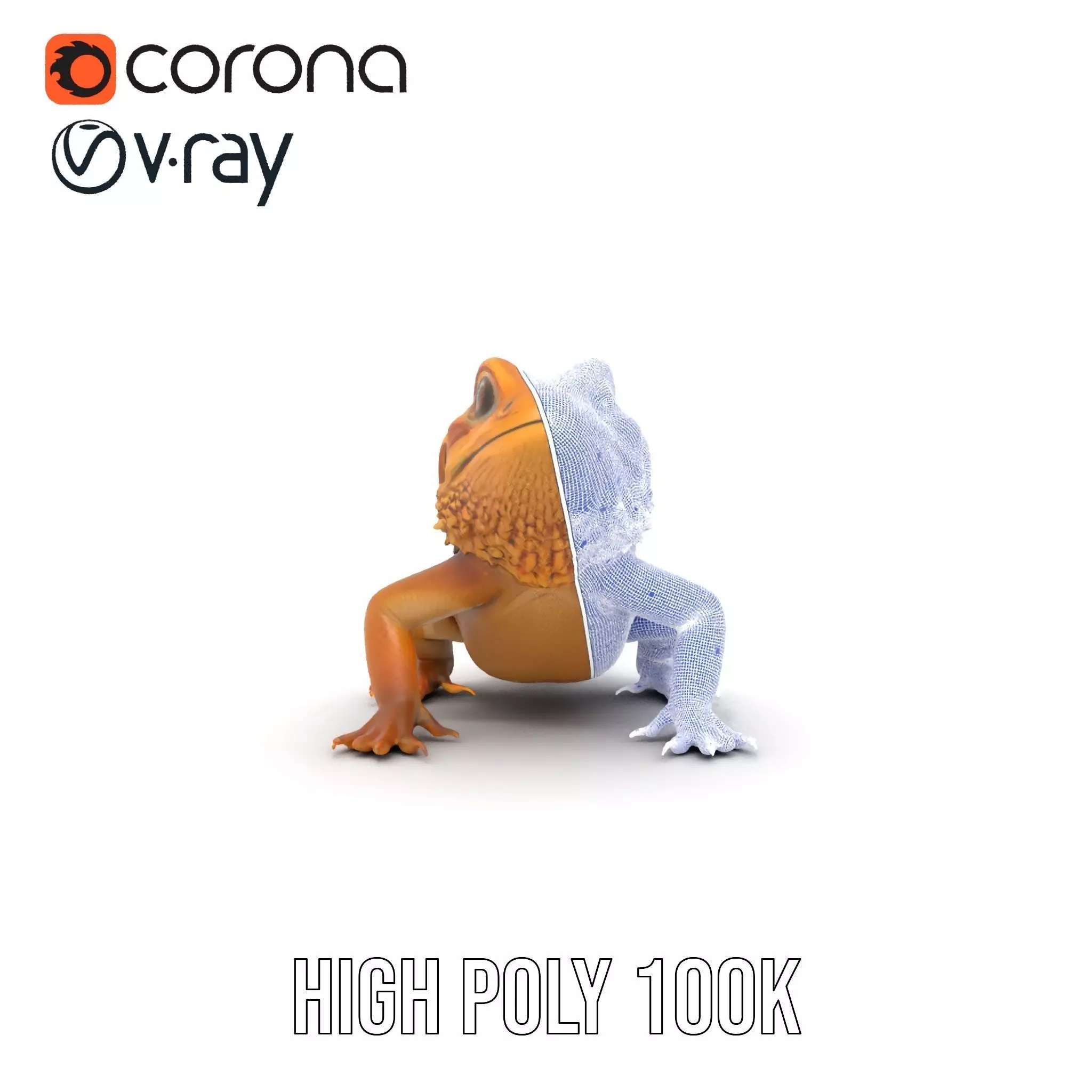 Golden Bearded Dragon model pack Low-poly 3D model_29