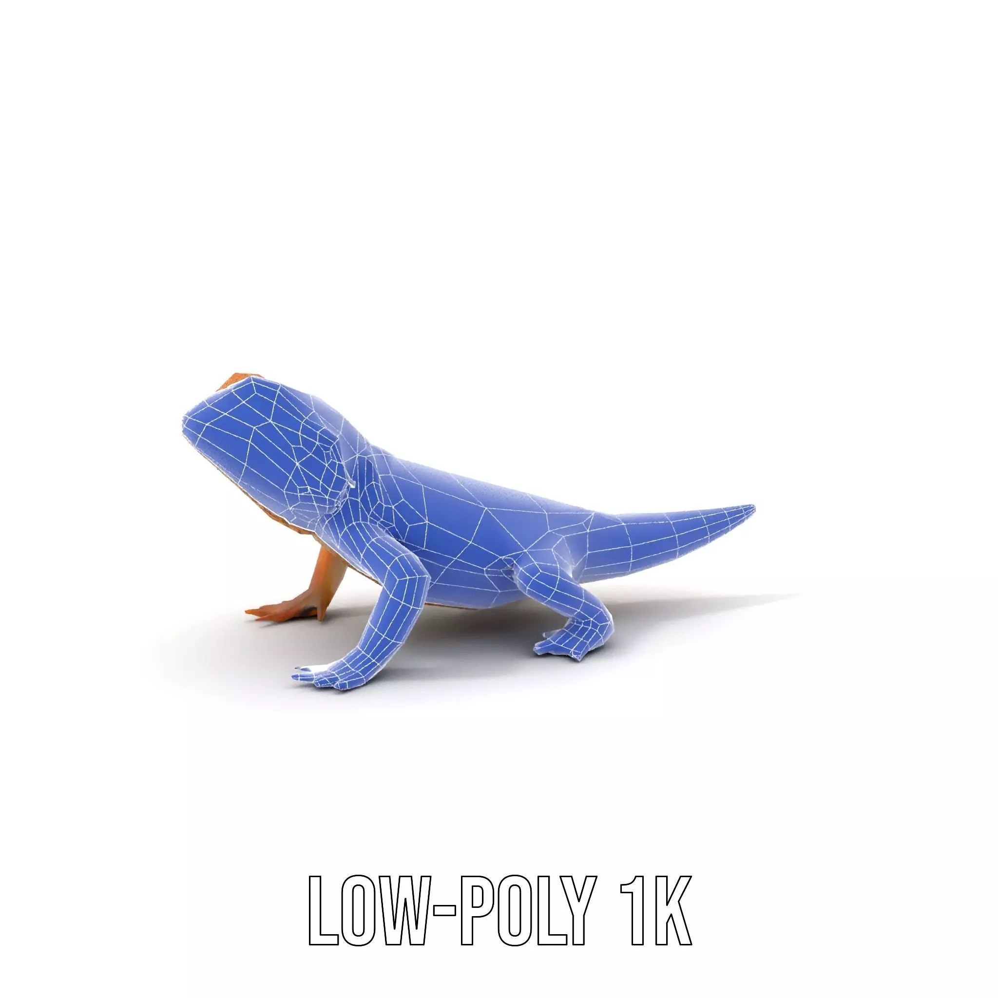 Golden Bearded Dragon model pack Low-poly 3D model_9