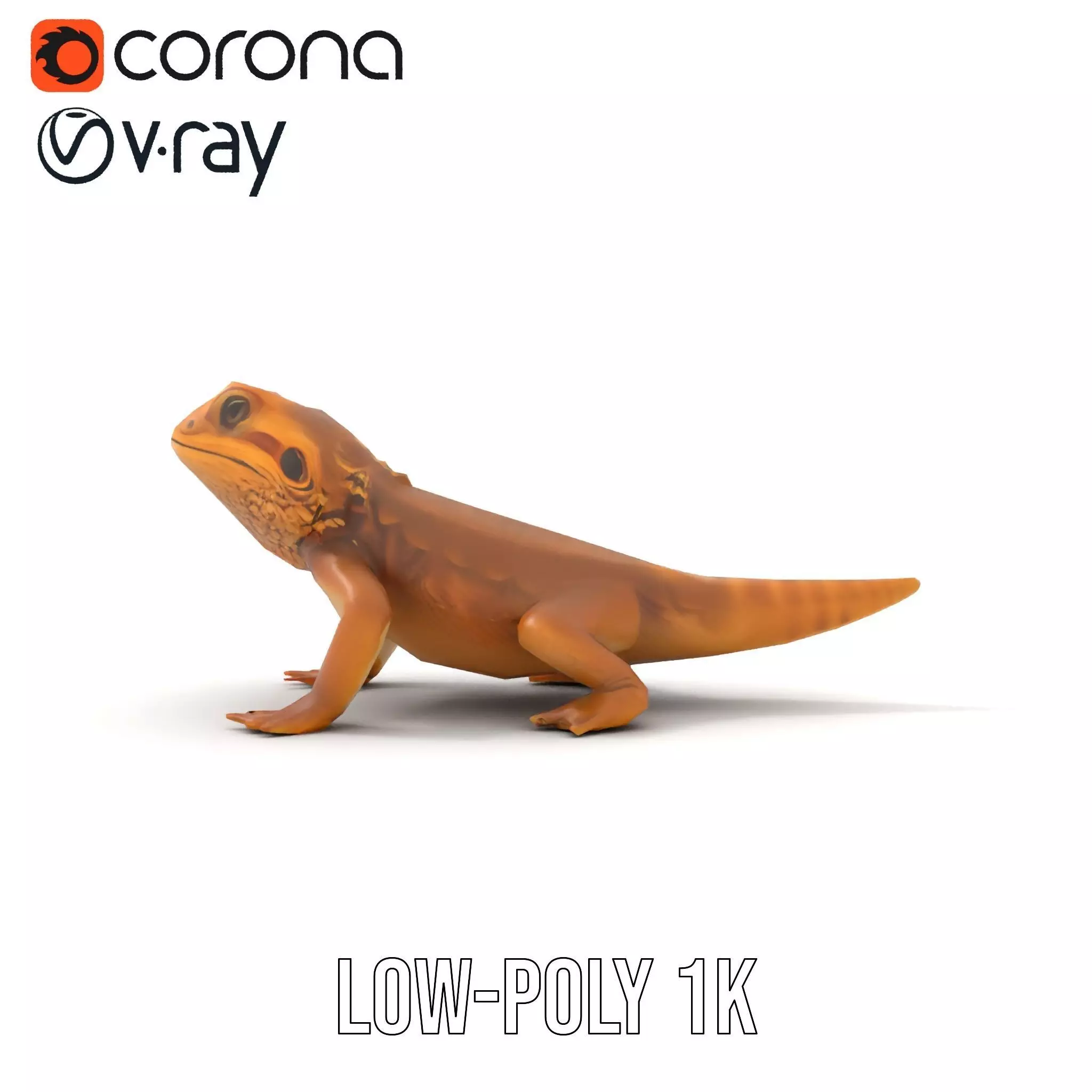 Golden Bearded Dragon model pack Low-poly 3D model_31