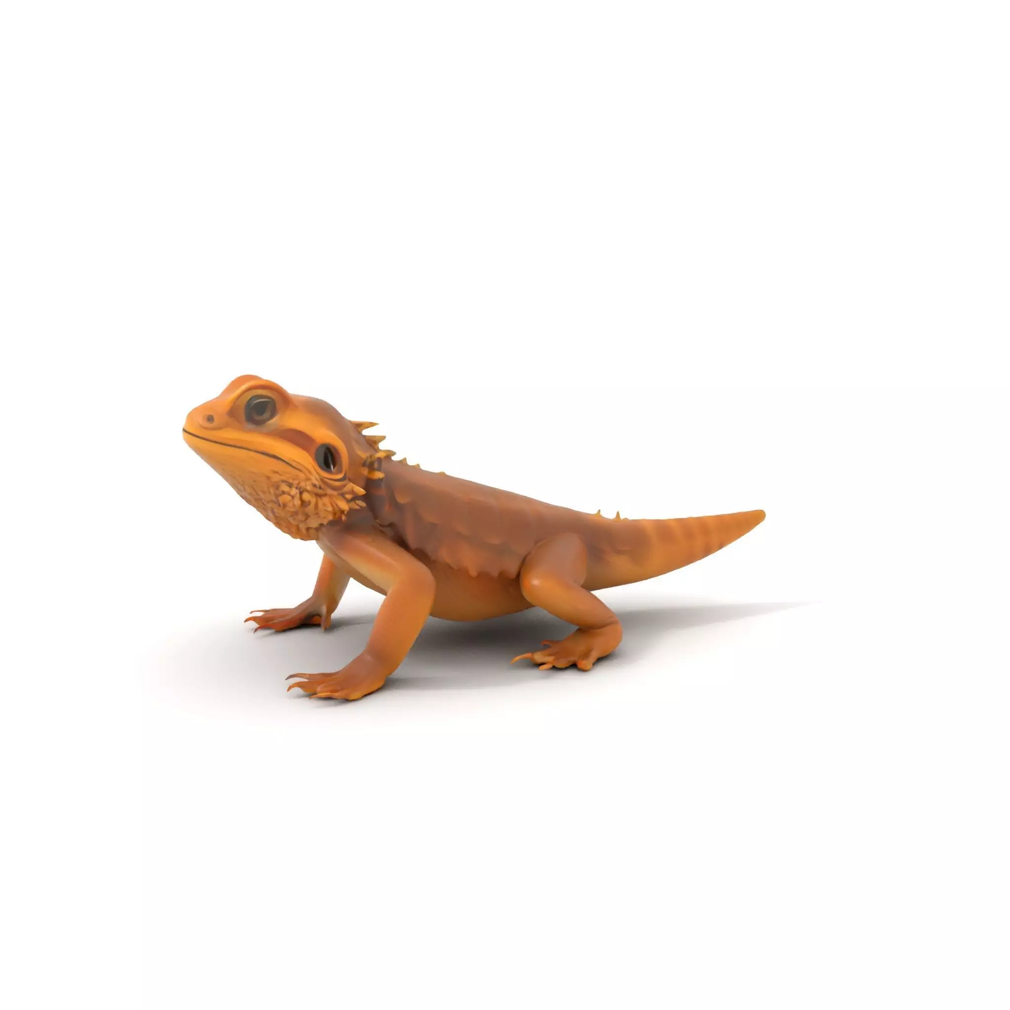 Golden Bearded Dragon model pack Low-poly 3D model_0