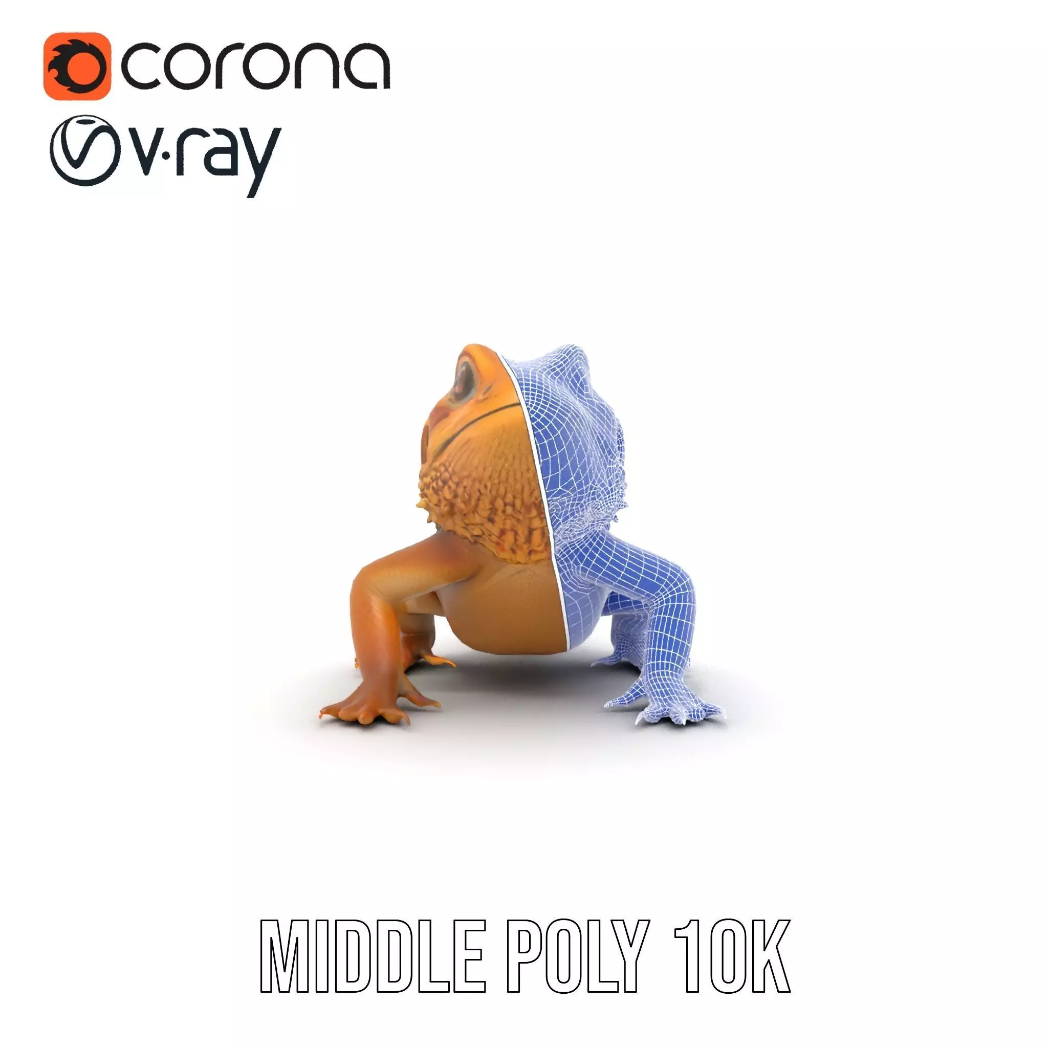 Golden Bearded Dragon model pack Low-poly 3D model_18