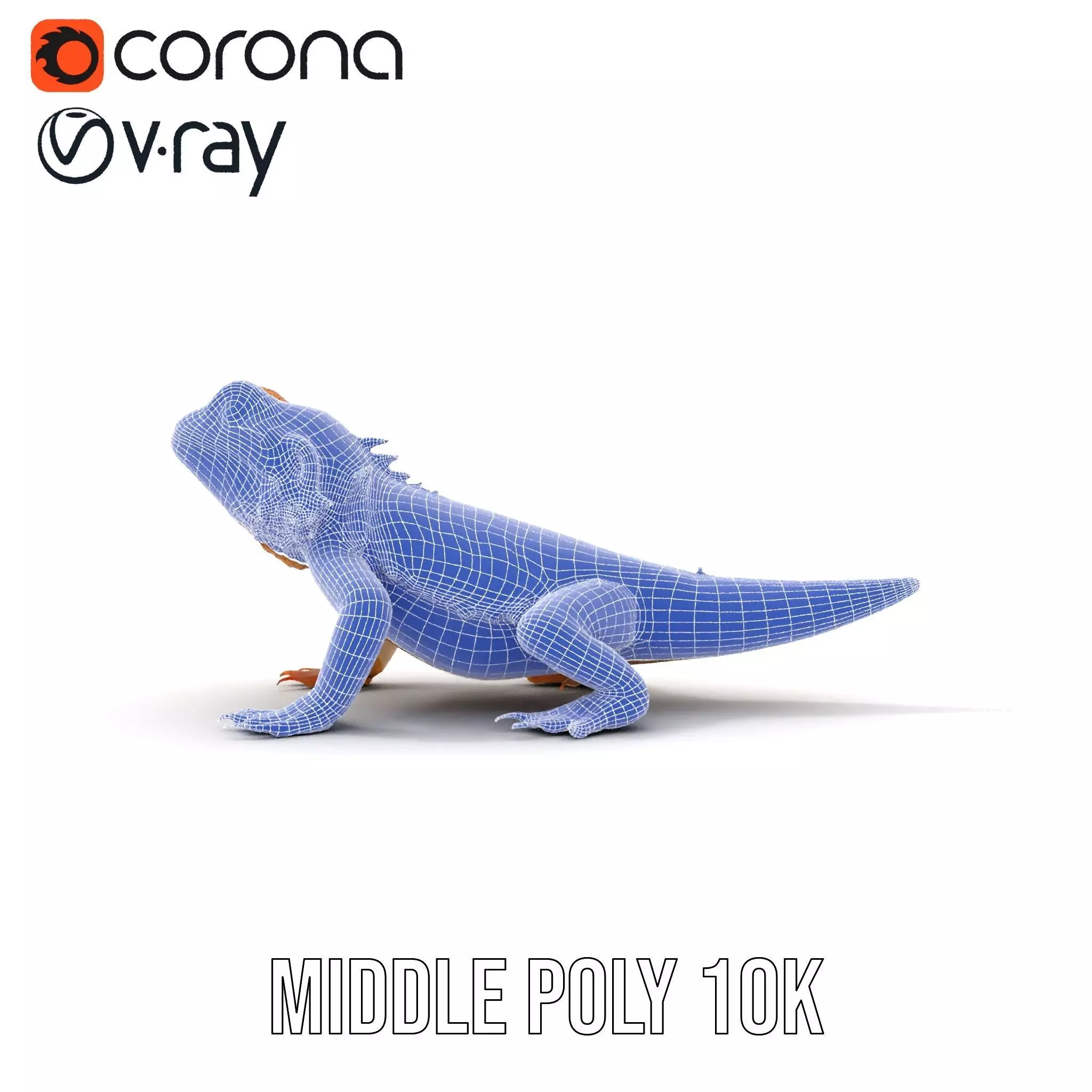 Golden Bearded Dragon model pack Low-poly 3D model_30