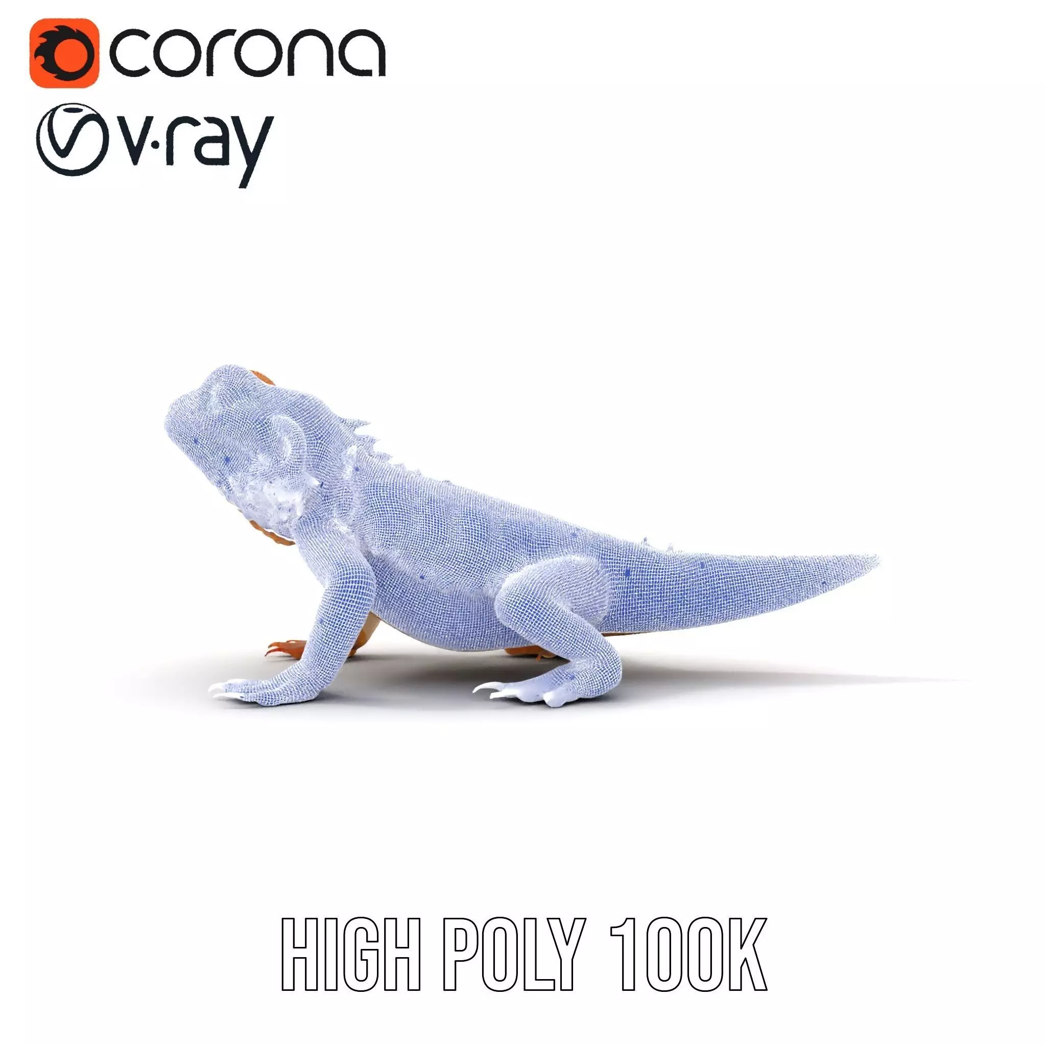 Golden Bearded Dragon model pack Low-poly 3D model_34