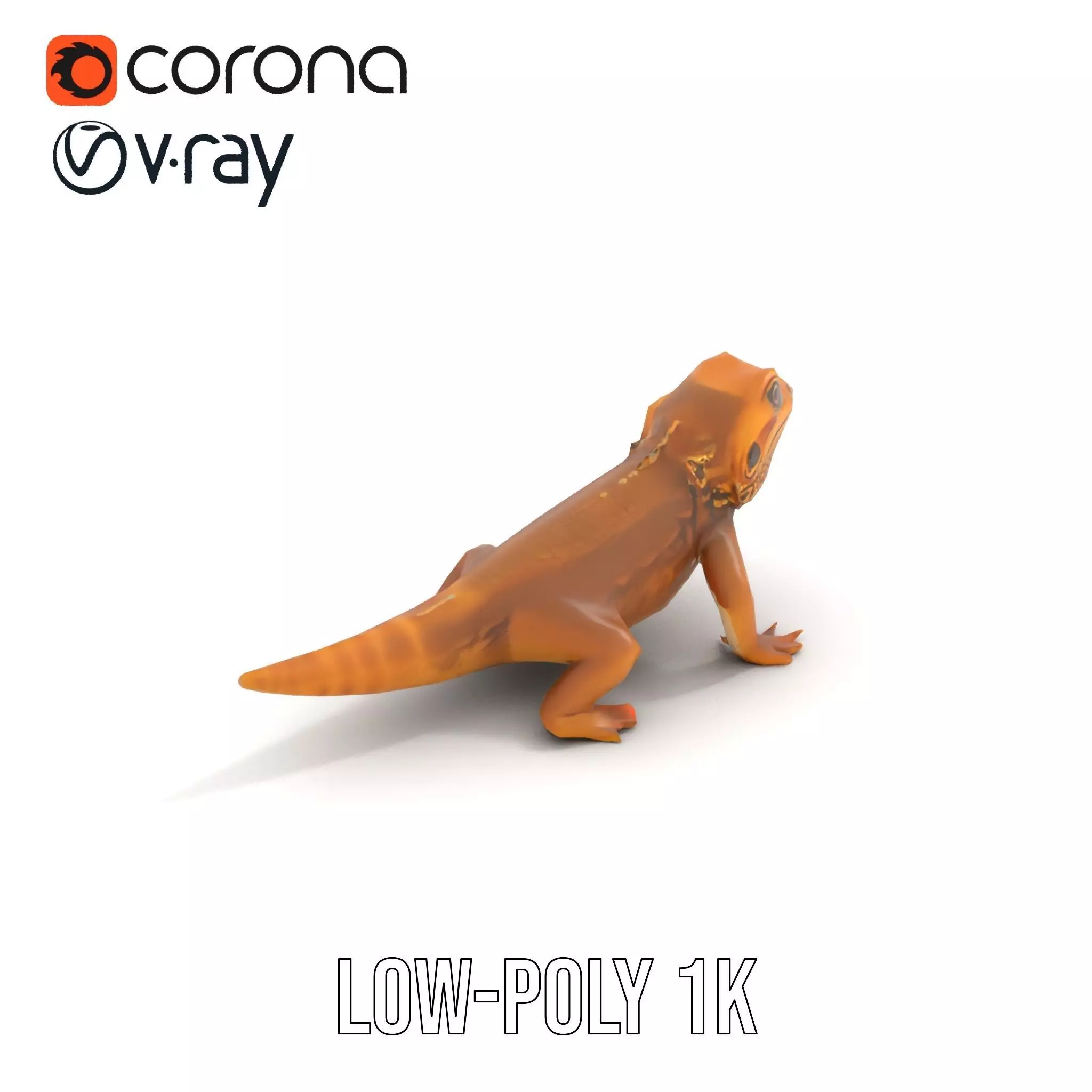 Golden Bearded Dragon model pack Low-poly 3D model_12