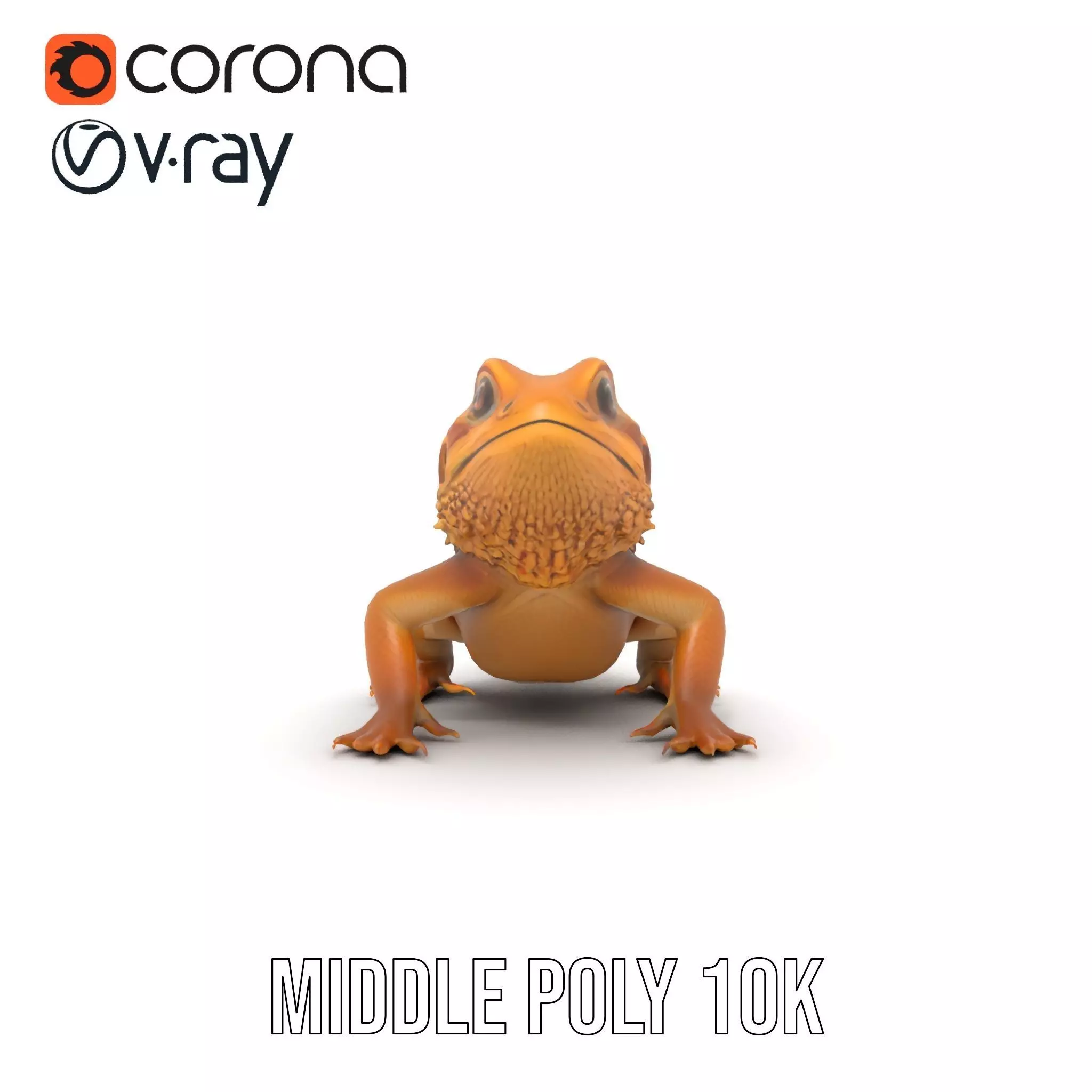Golden Bearded Dragon model pack Low-poly 3D model_13