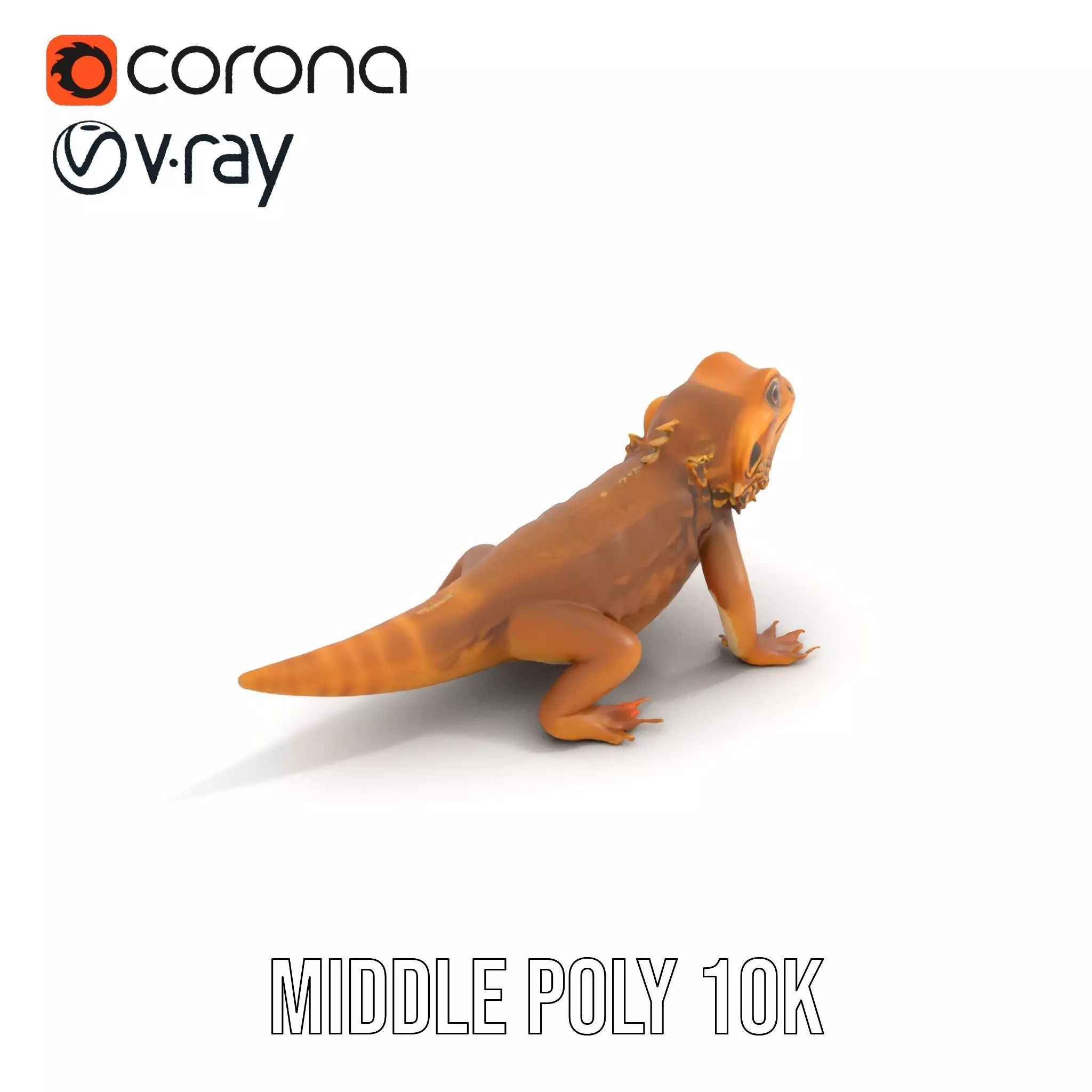 Golden Bearded Dragon model pack Low-poly 3D model_6