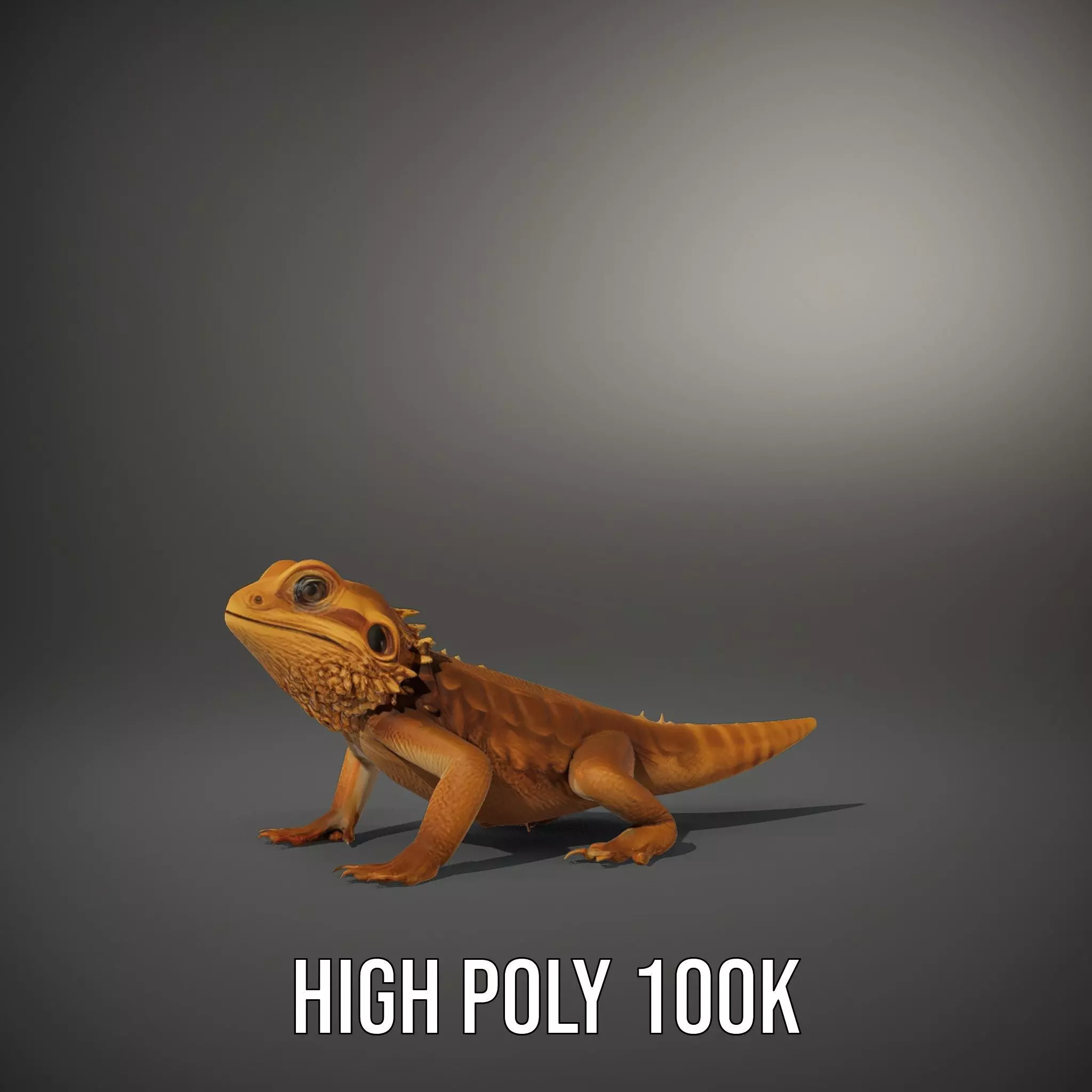 Golden Bearded Dragon model pack Low-poly 3D model_8