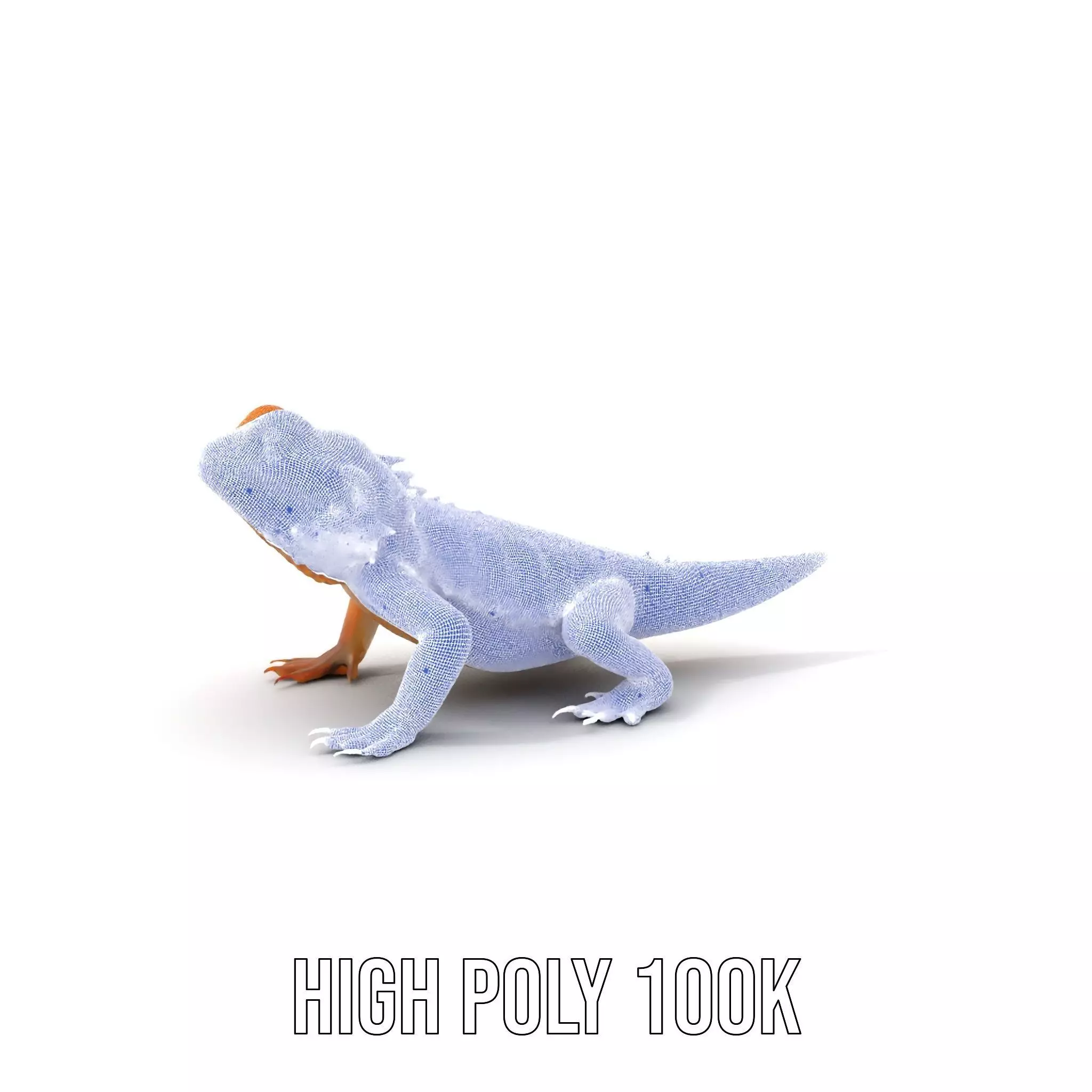 Golden Bearded Dragon model pack Low-poly 3D model_4