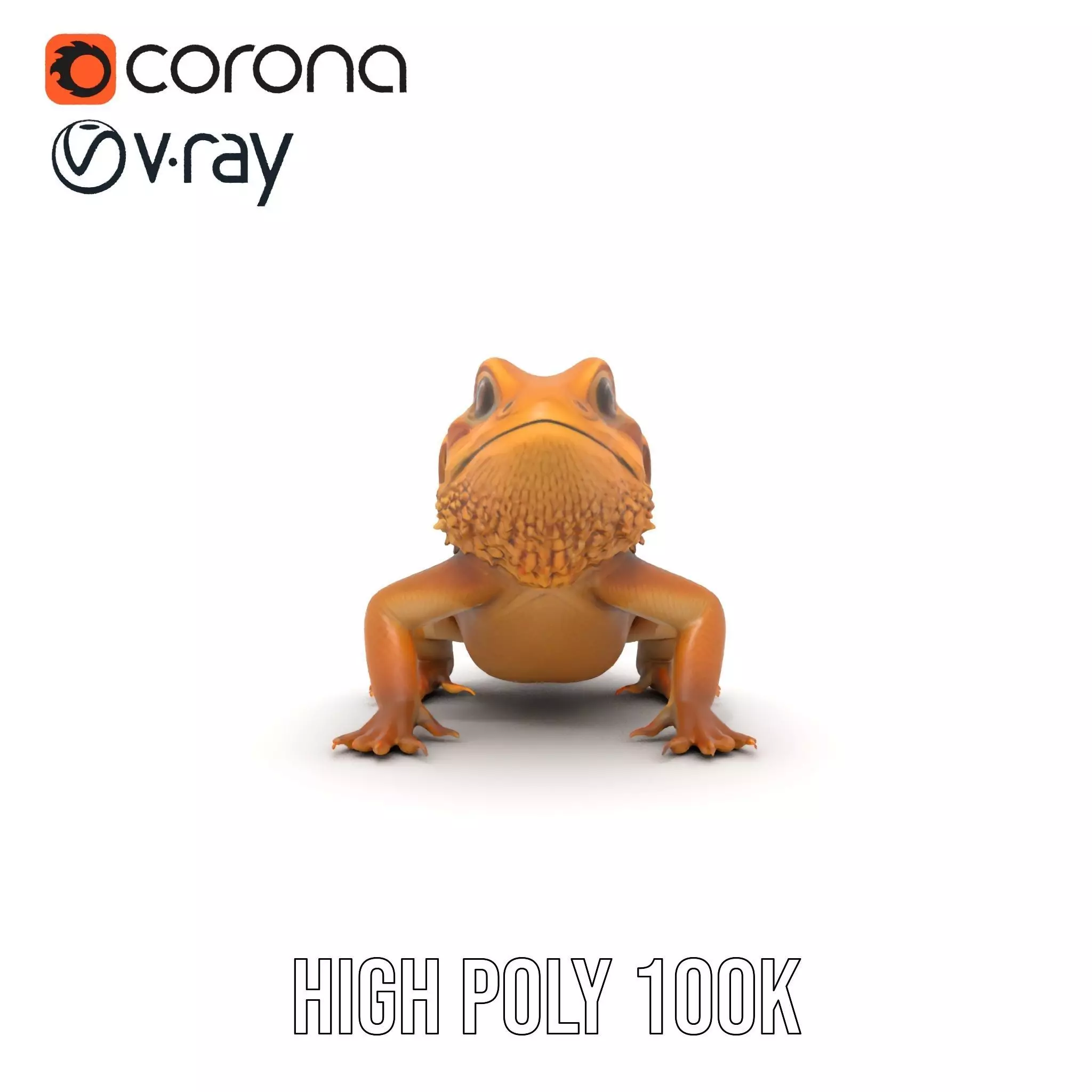 Golden Bearded Dragon model pack Low-poly 3D model_23