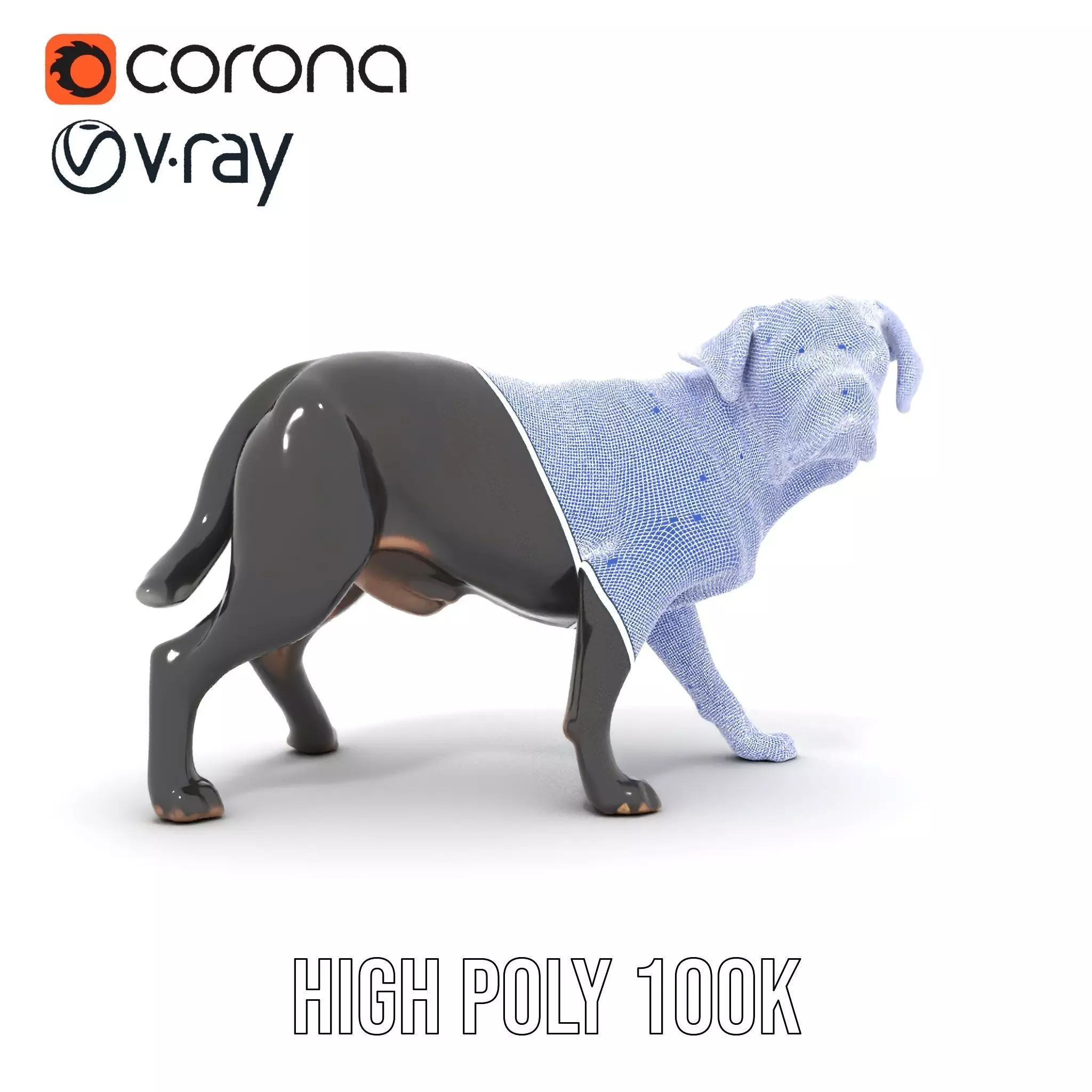 Black Labrador model pack Low-poly 3D model_33