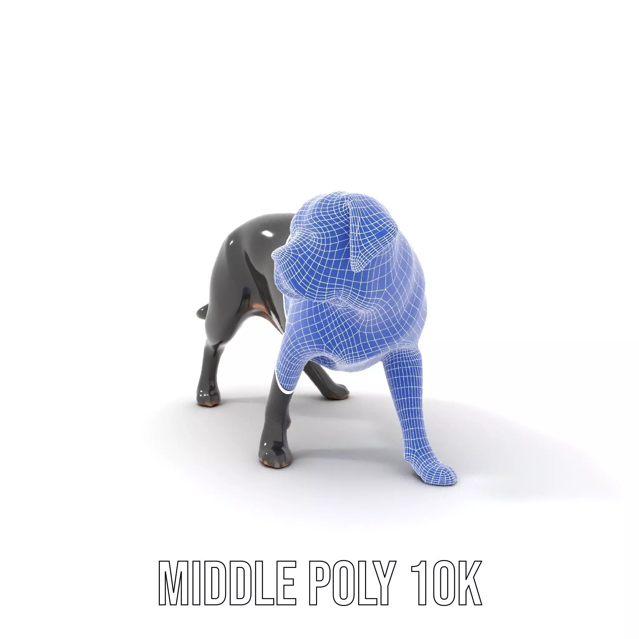 Black Labrador model pack Low-poly 3D model_11