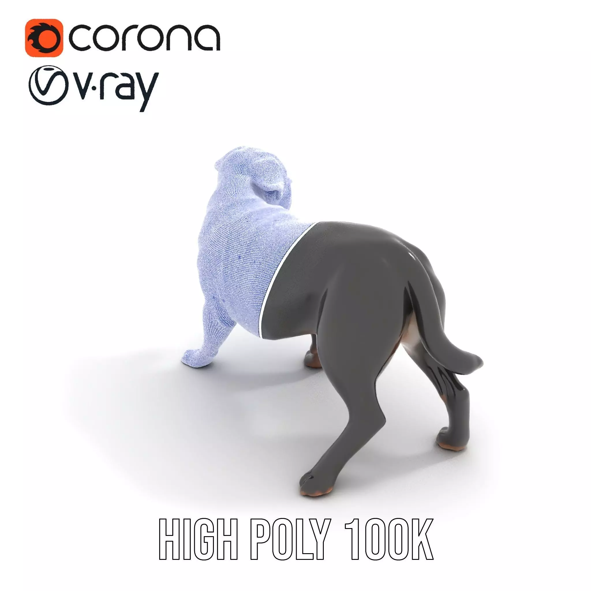 Black Labrador model pack Low-poly 3D model_34