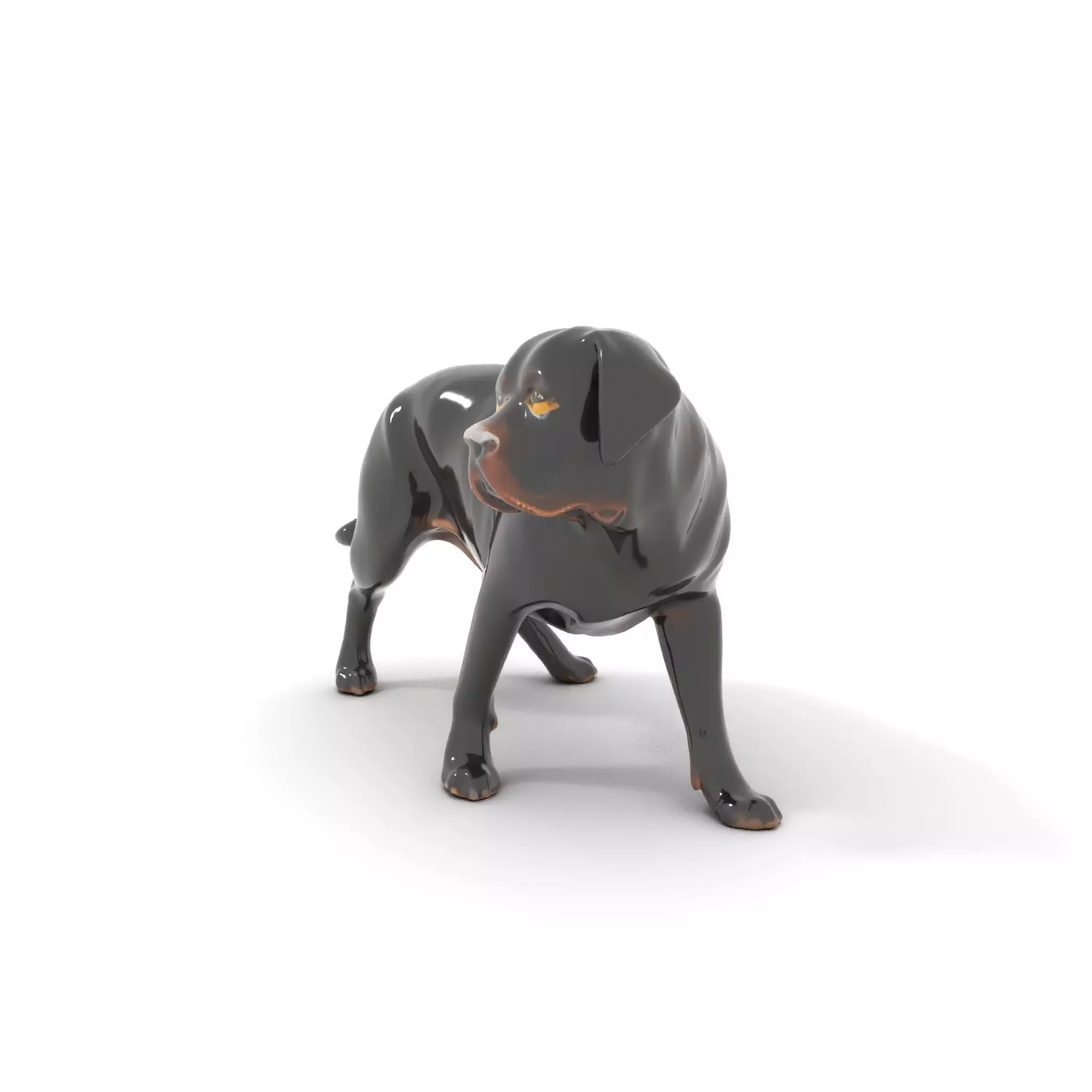 Black Labrador model pack Low-poly 3D model_0