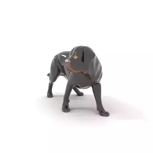 Black Labrador model pack Low-poly 3D model