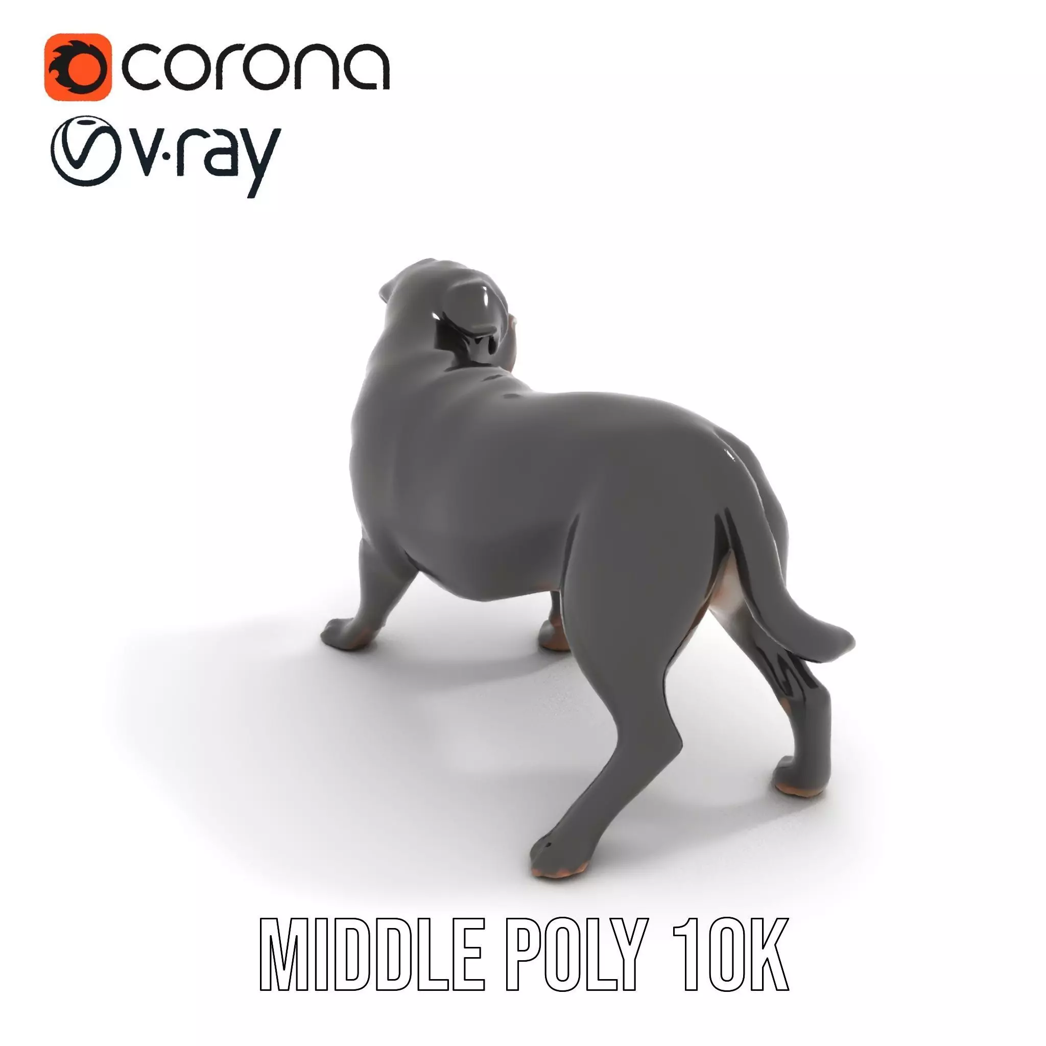 Black Labrador model pack Low-poly 3D model_6