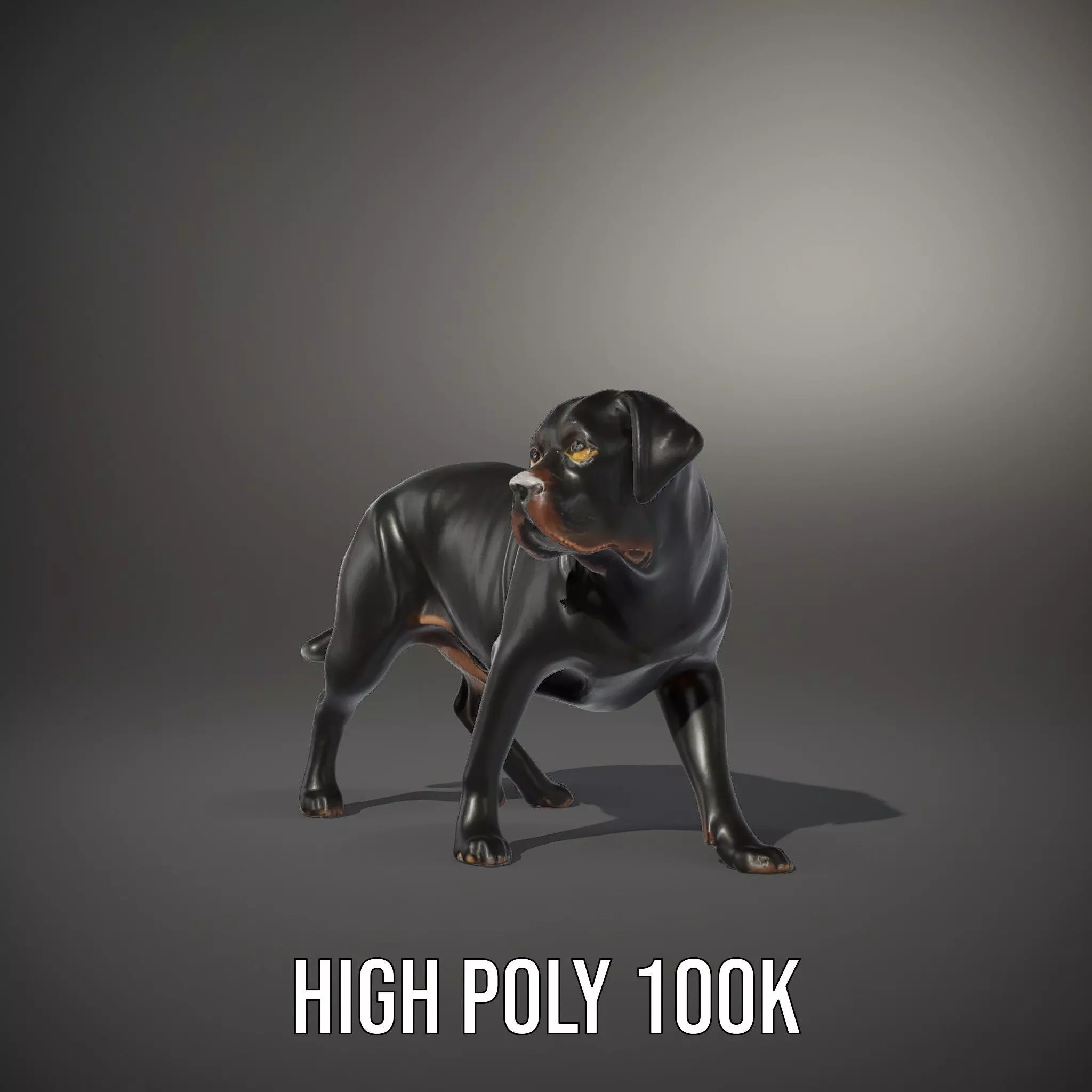 Black Labrador model pack Low-poly 3D model_10
