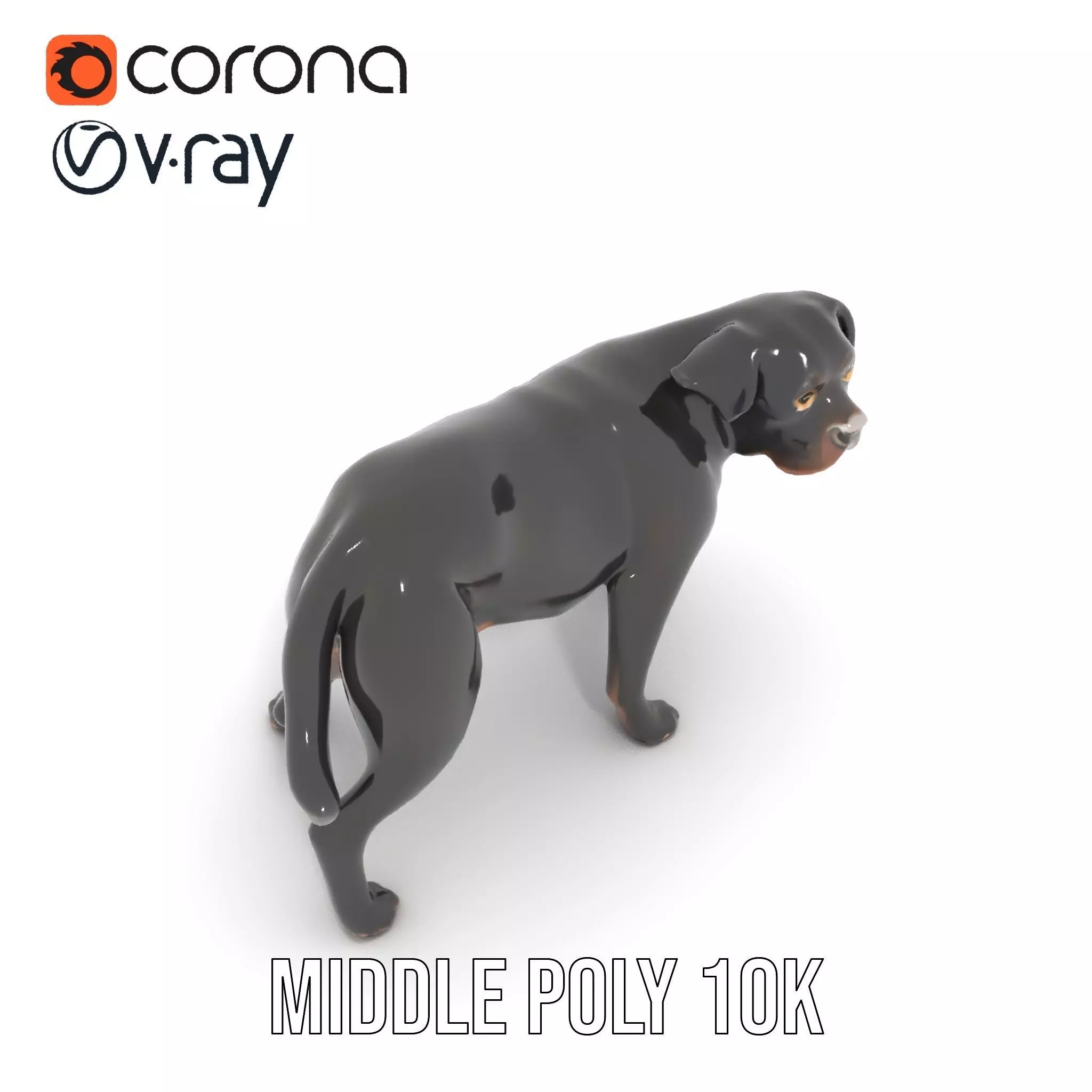 Black Labrador model pack Low-poly 3D model_16