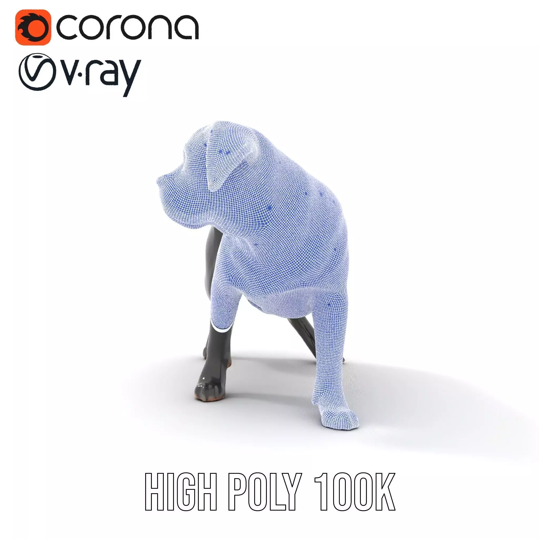 Black Labrador model pack Low-poly 3D model_26