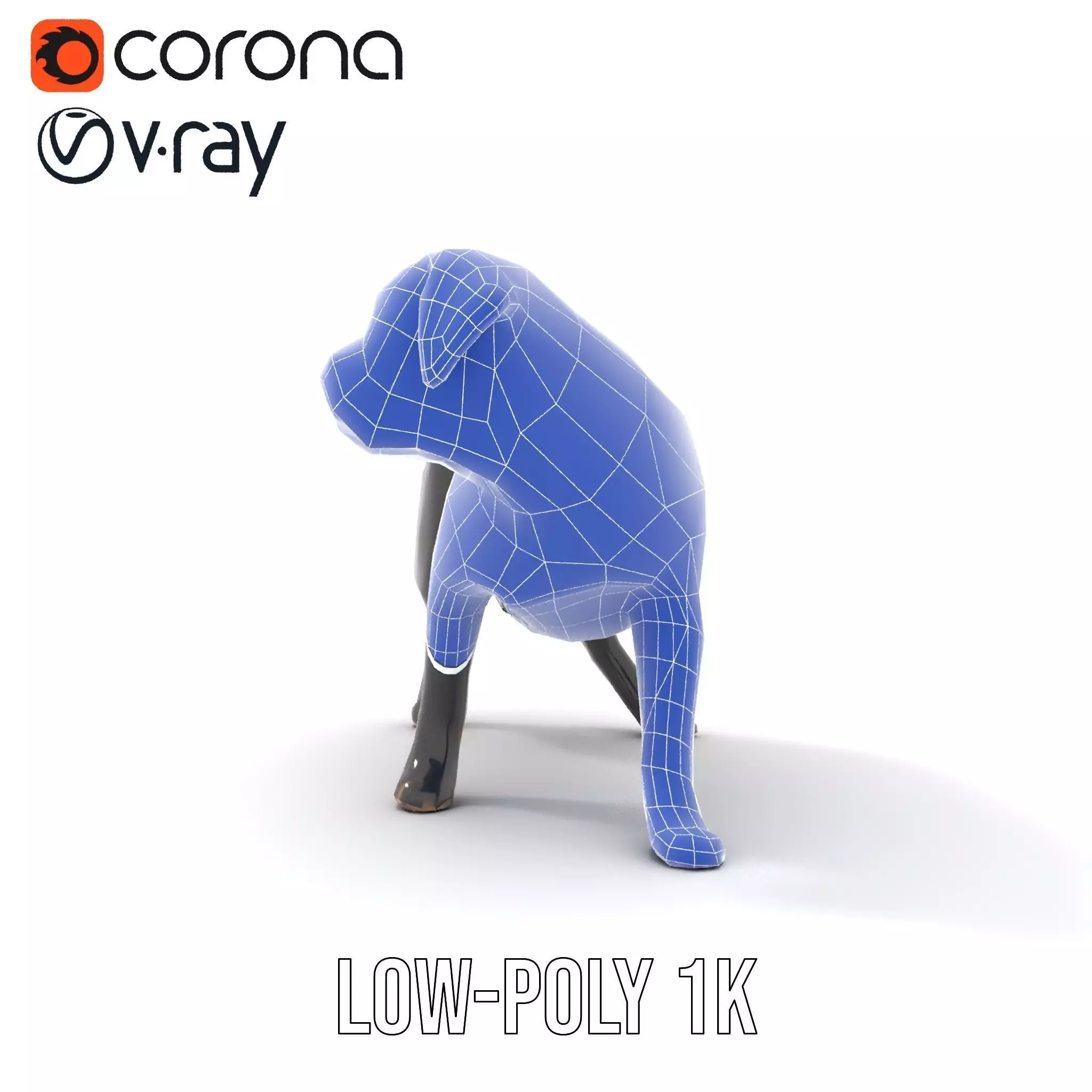 Black Labrador model pack Low-poly 3D model_28