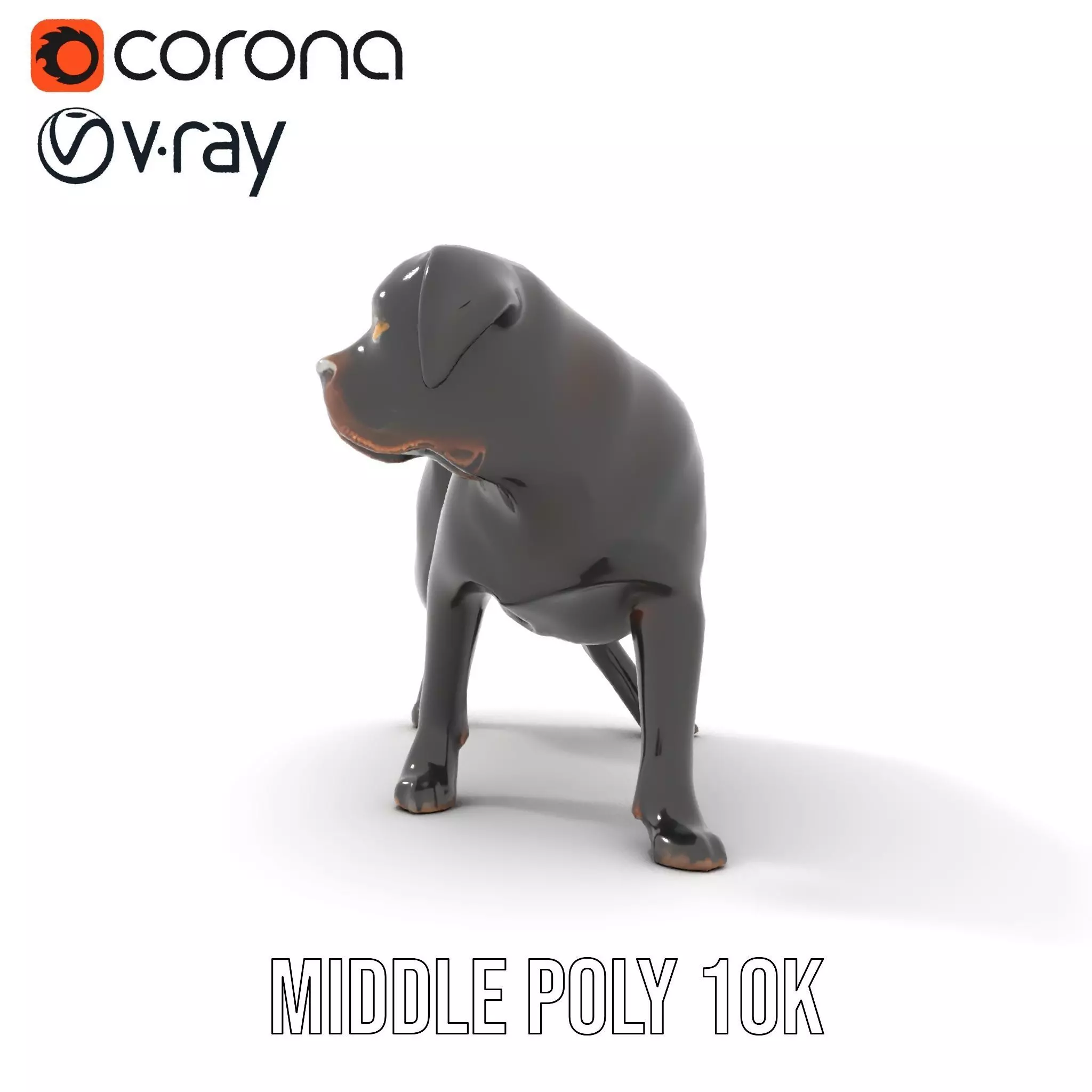 Black Labrador model pack Low-poly 3D model_27