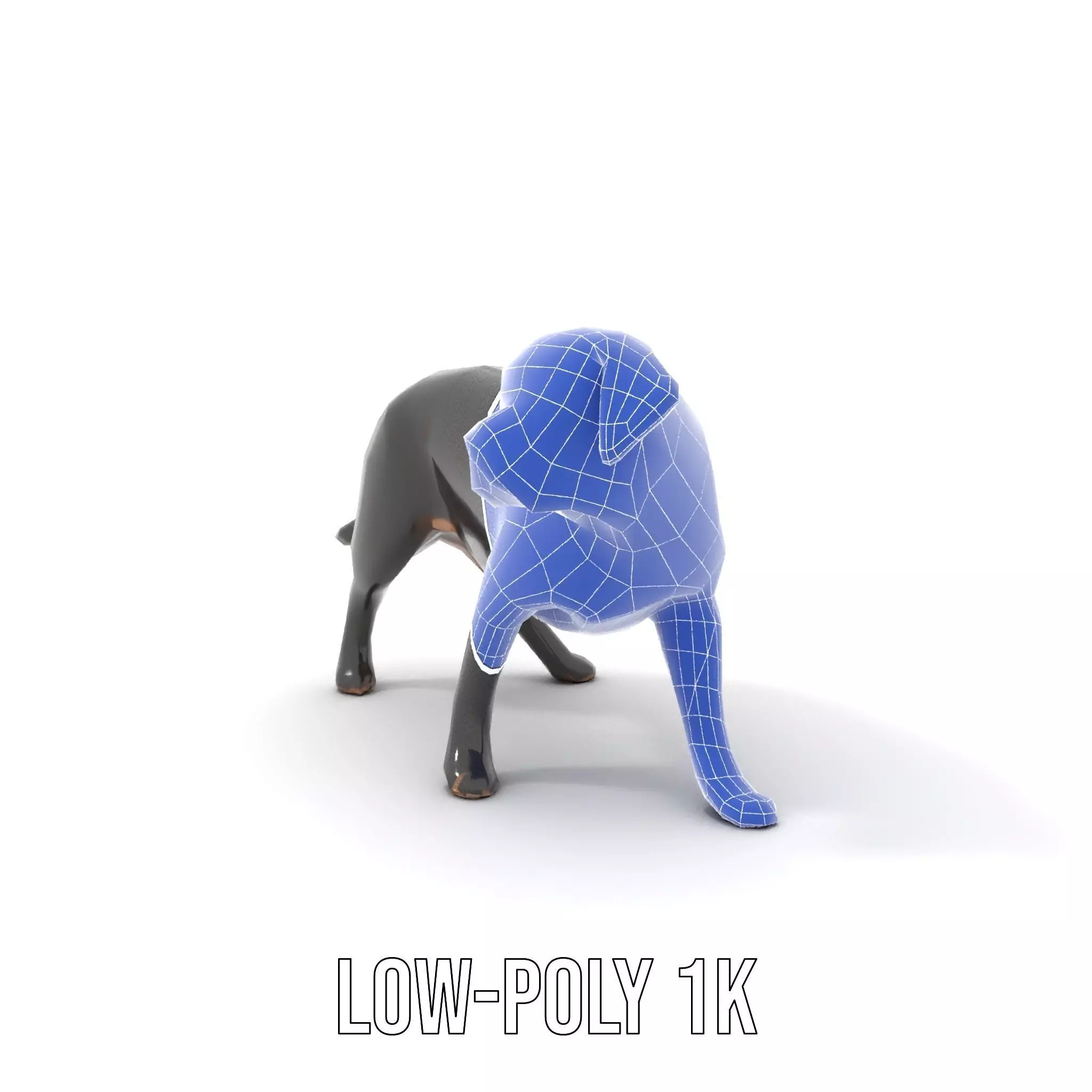 Black Labrador model pack Low-poly 3D model_25