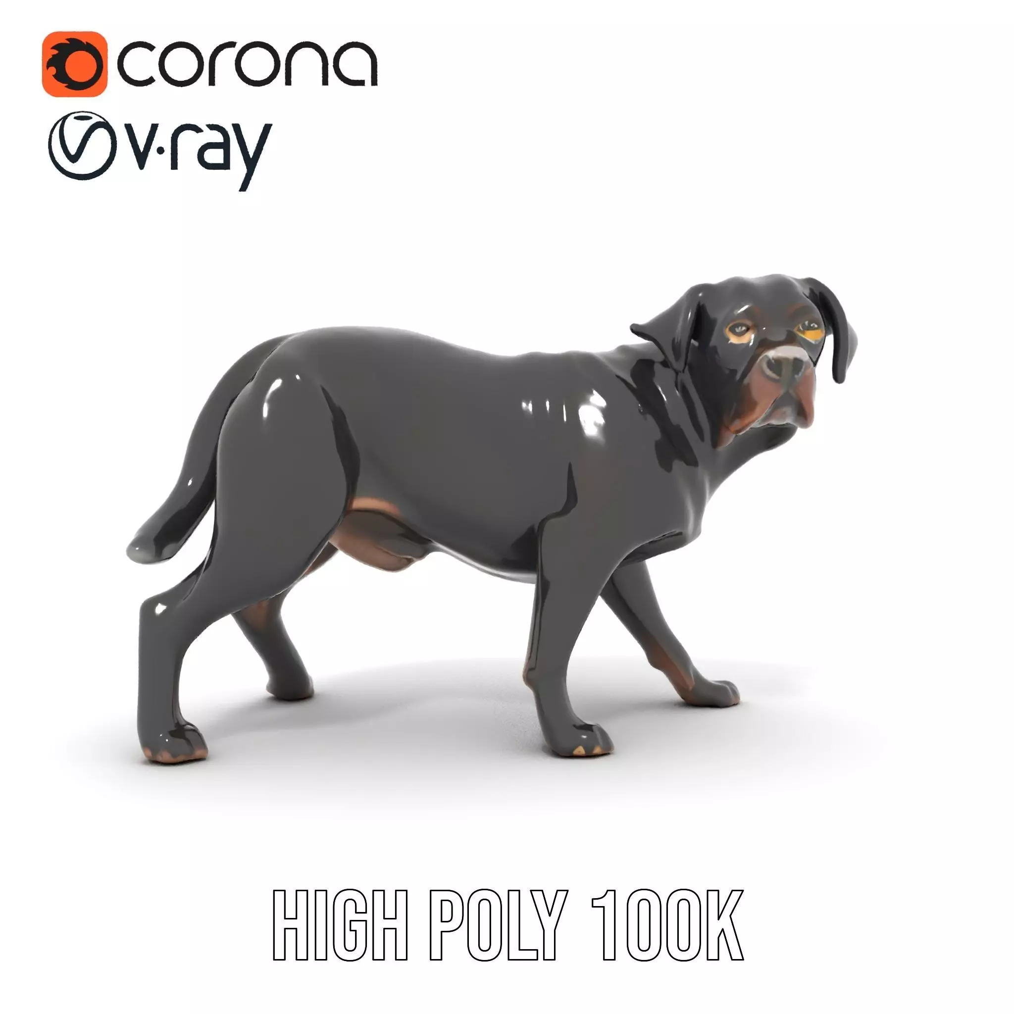 Black Labrador model pack Low-poly 3D model_32