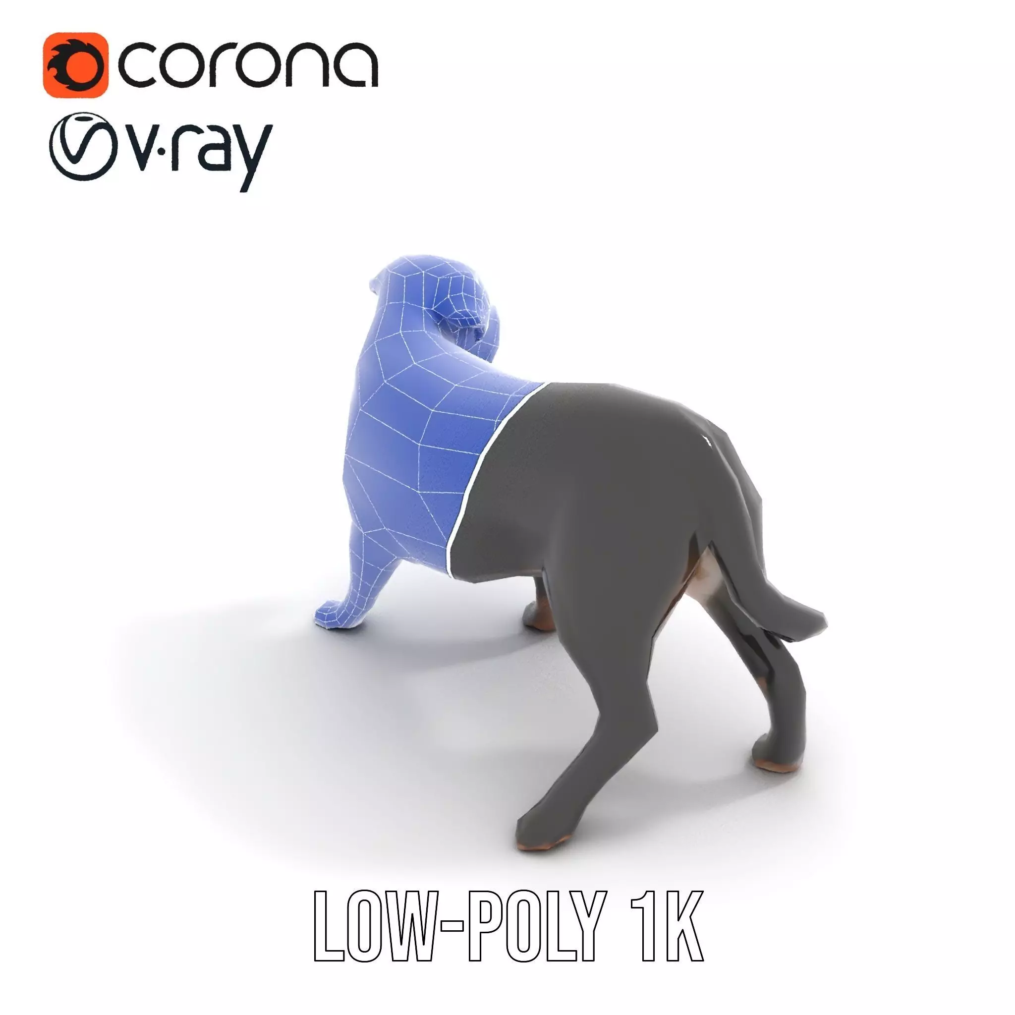 Black Labrador model pack Low-poly 3D model_12