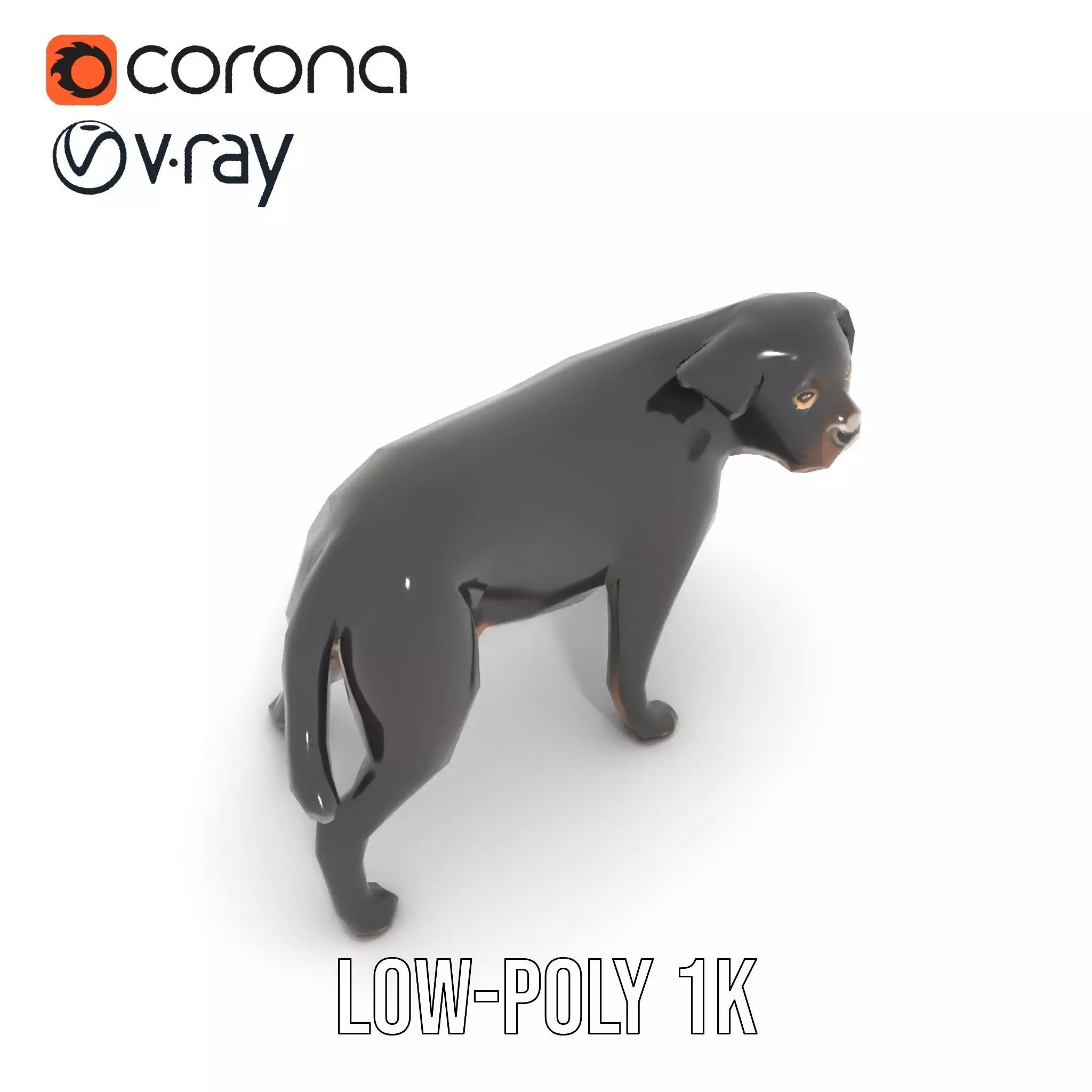 Black Labrador model pack Low-poly 3D model_30