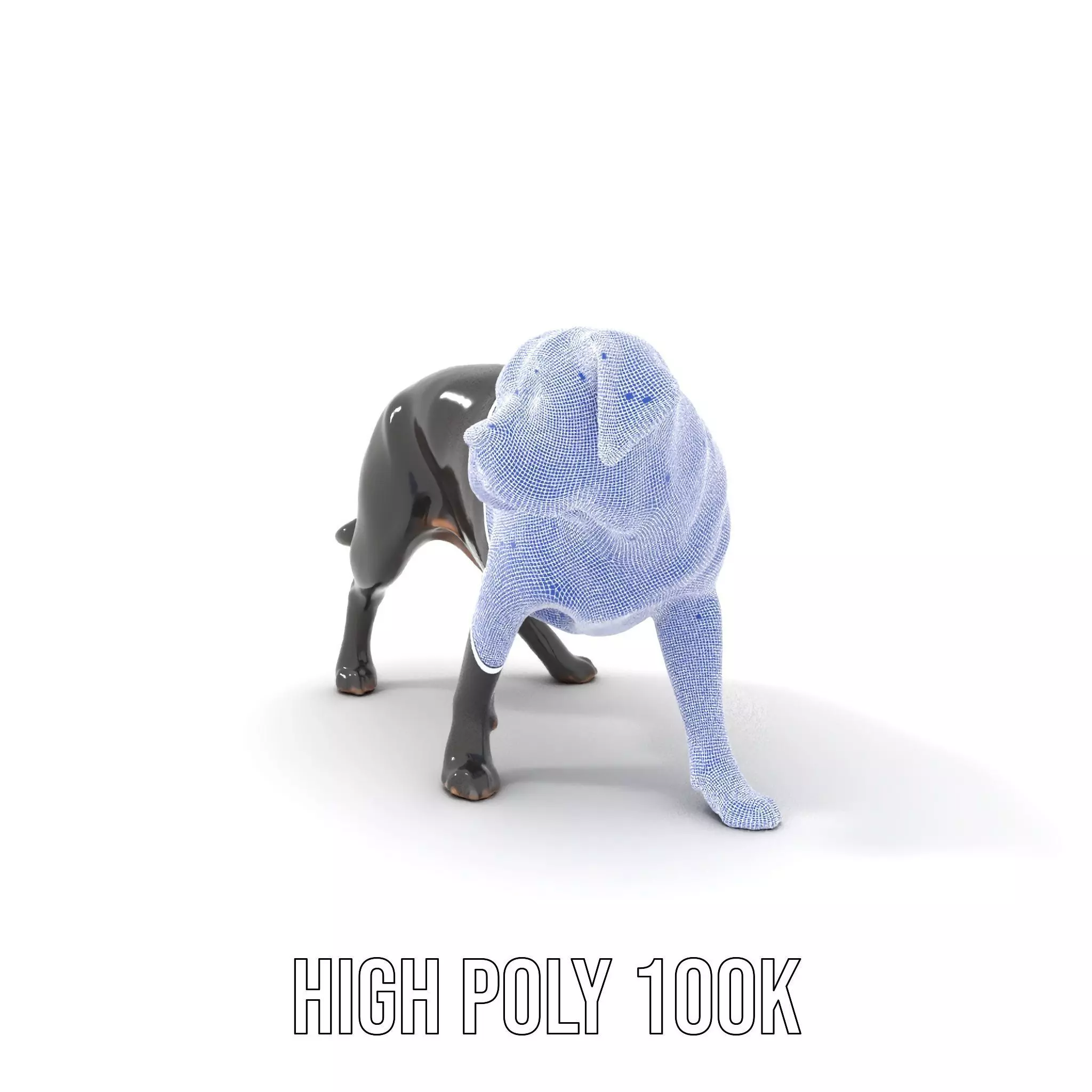 Black Labrador model pack Low-poly 3D model_4