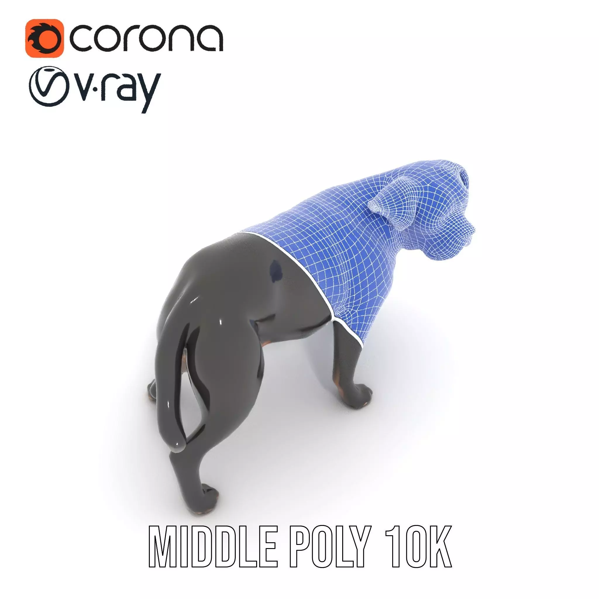 Black Labrador model pack Low-poly 3D model_21