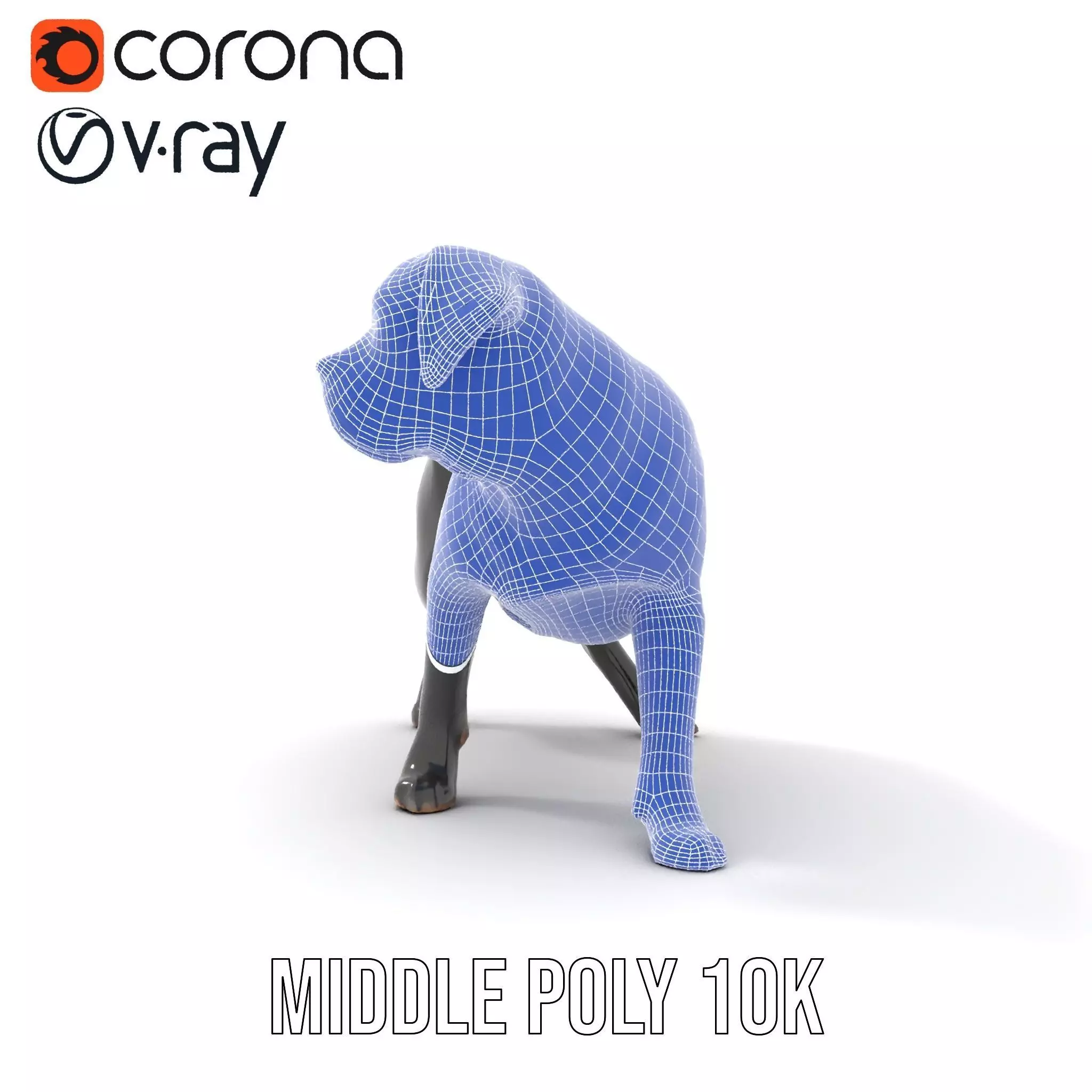 Black Labrador model pack Low-poly 3D model_24
