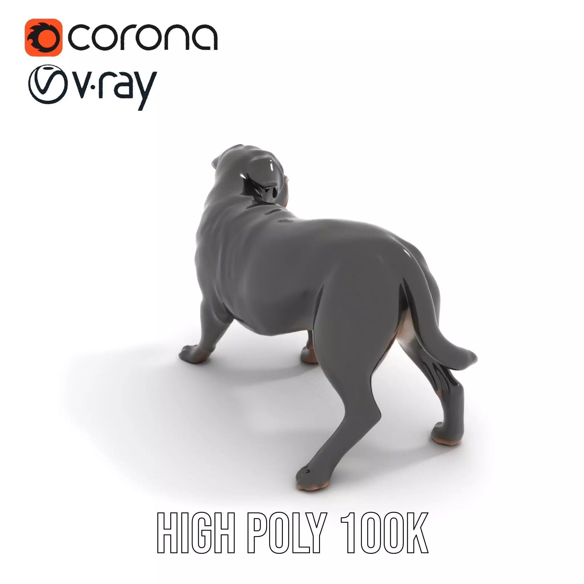 Black Labrador model pack Low-poly 3D model_15