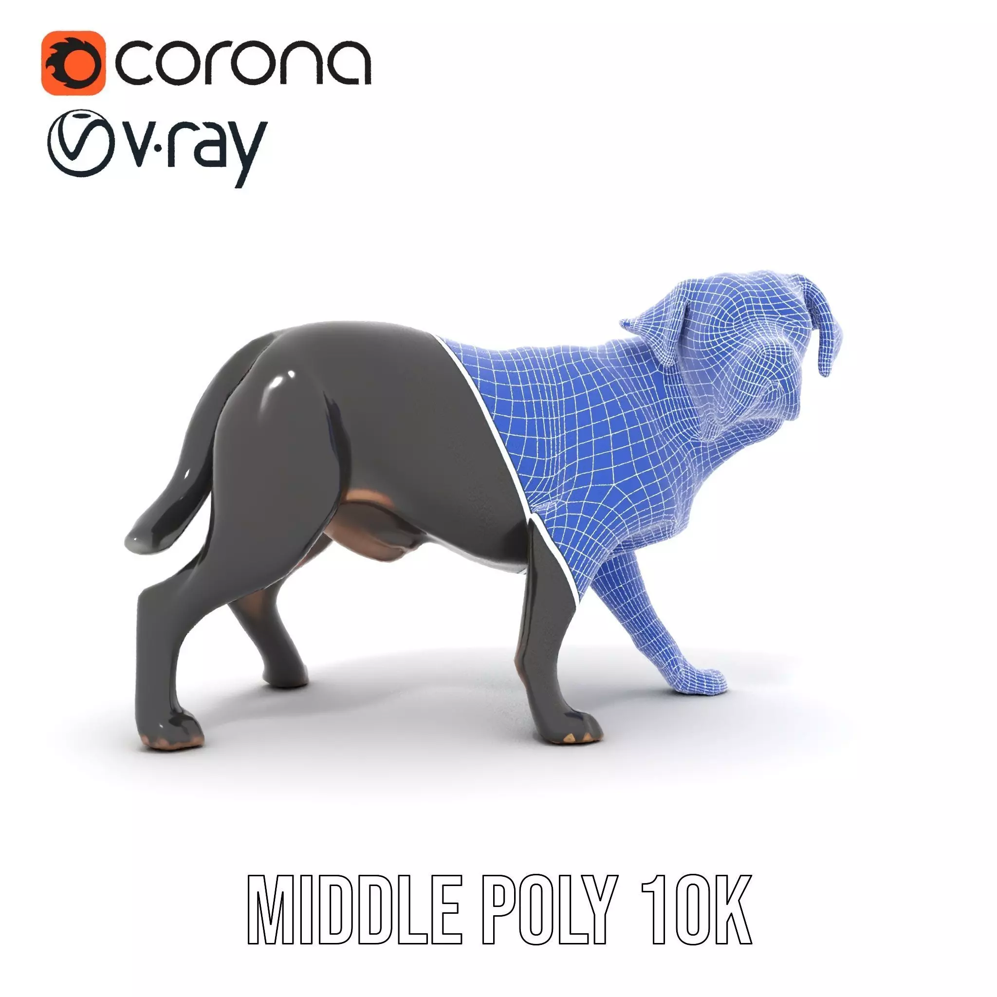 Black Labrador model pack Low-poly 3D model_5