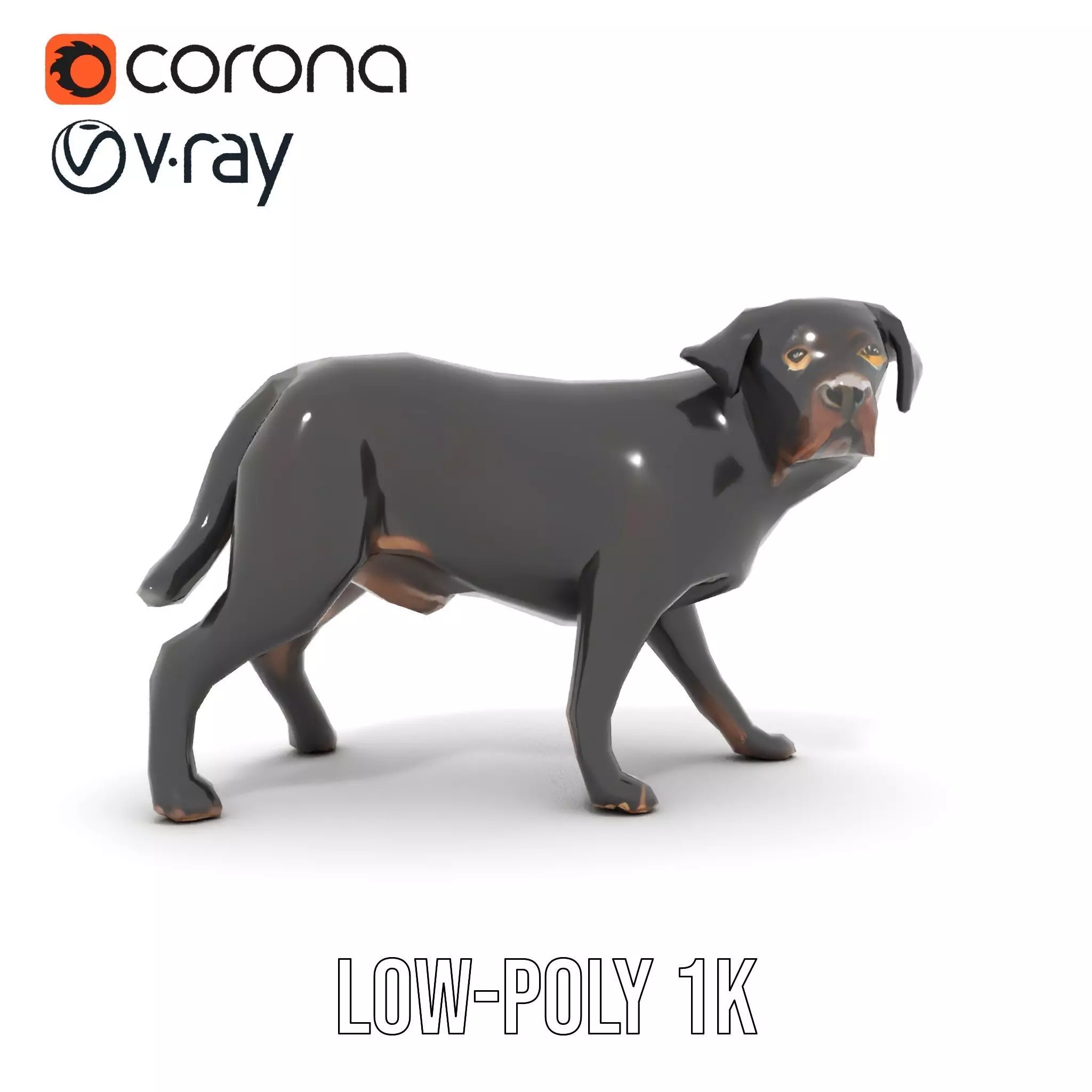 Black Labrador model pack Low-poly 3D model_22