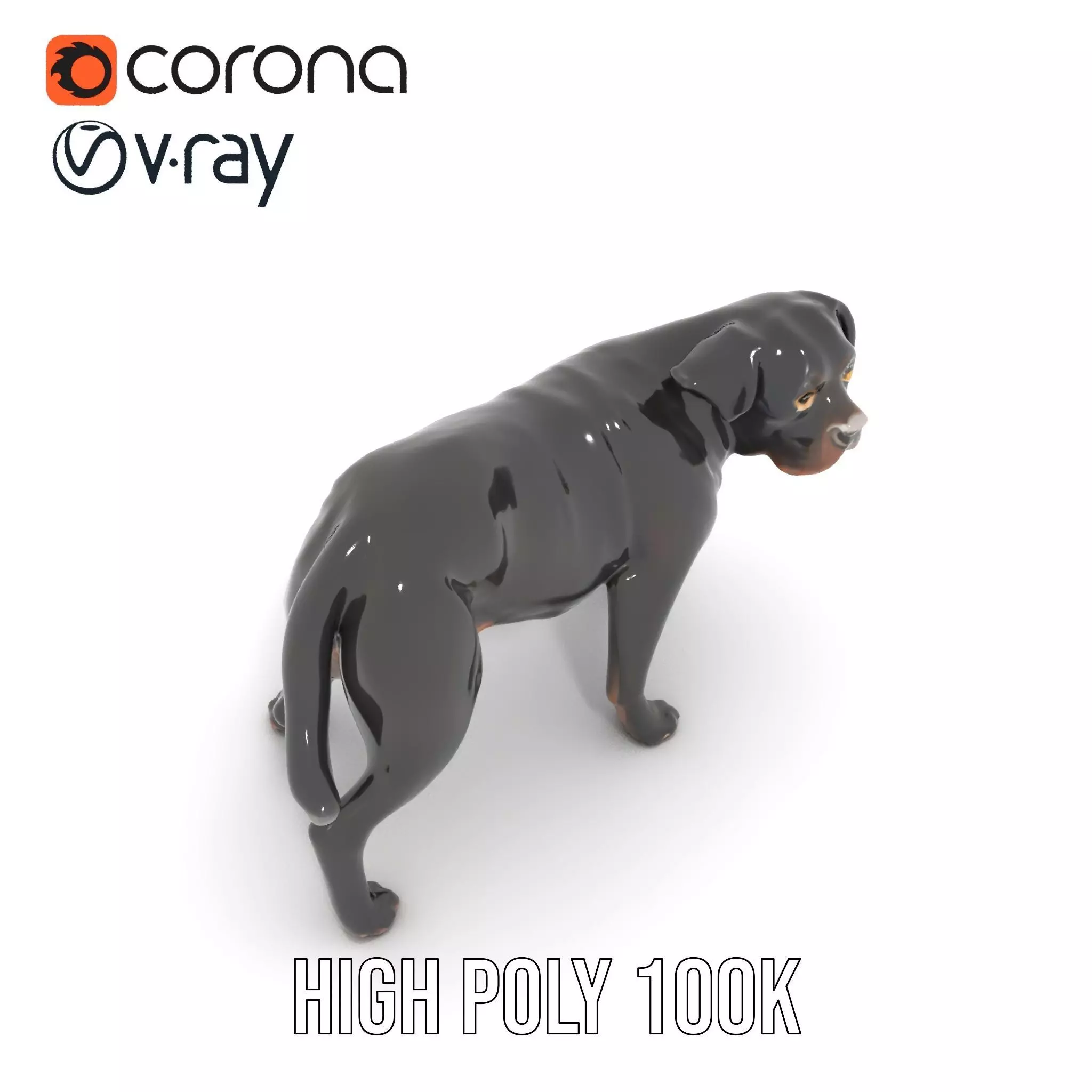 Black Labrador model pack Low-poly 3D model_20