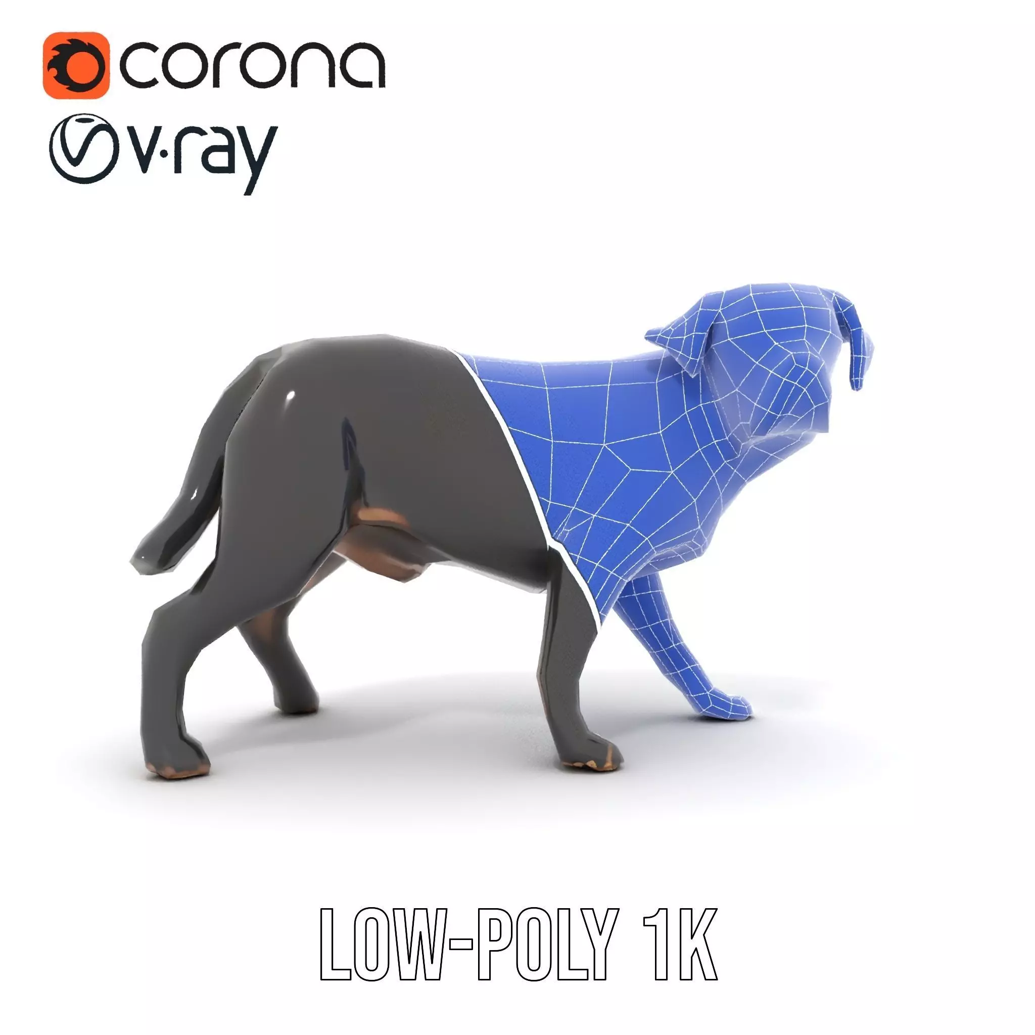 Black Labrador model pack Low-poly 3D model_17