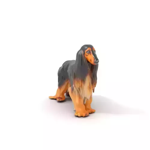 Majestic Afghan Hound model pack Low-poly 3D model