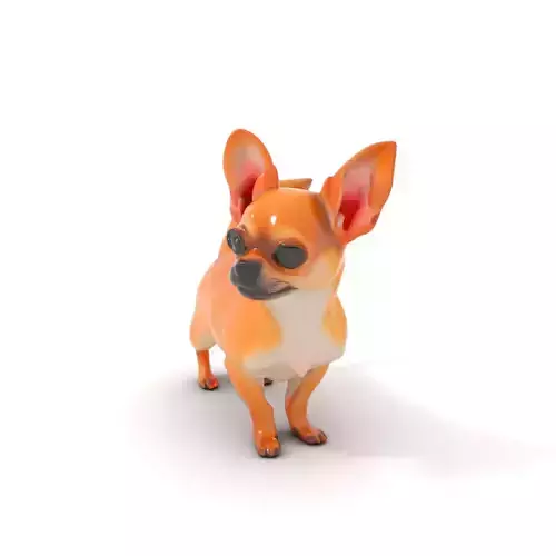 Charming Chihuahua model pack Low-poly 3D model