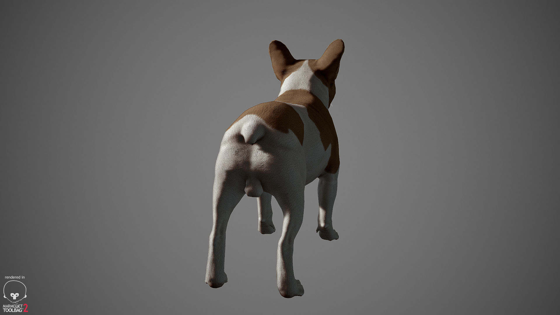 French Bulldog Real-Time Low-poly 3D model_9