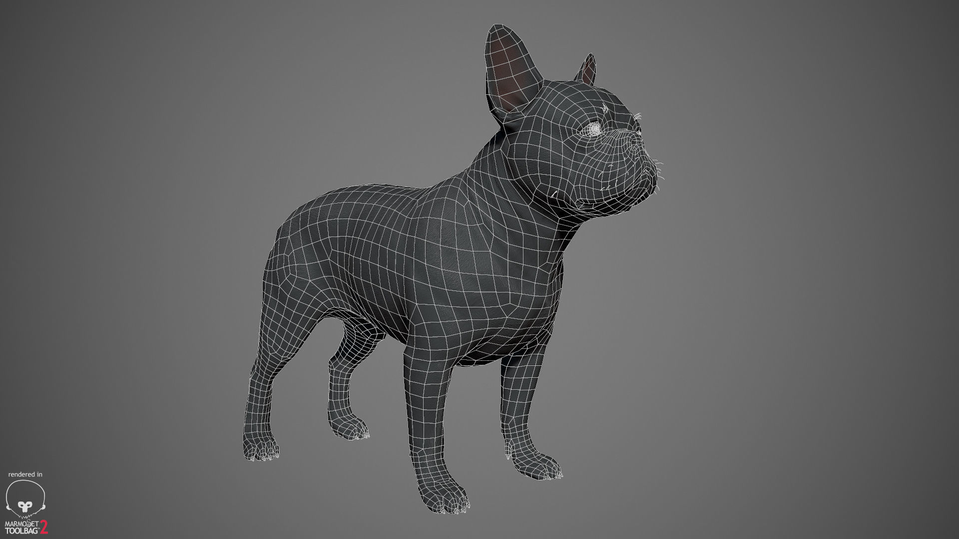 French Bulldog Real-Time Low-poly 3D model_23