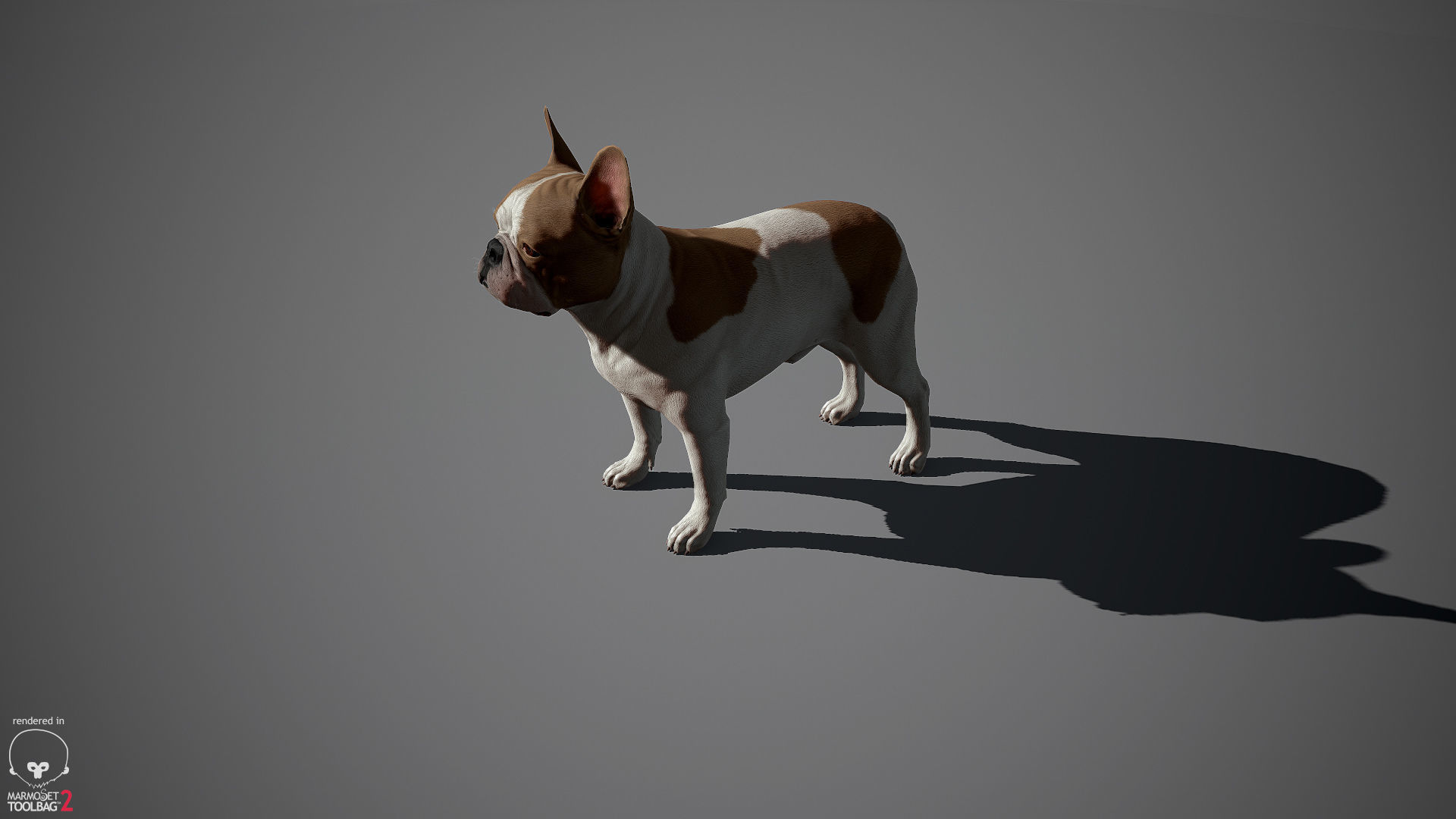 French Bulldog Real-Time Low-poly 3D model_13