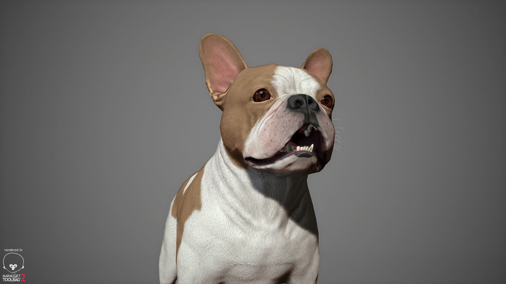 French Bulldog Real-Time Low-poly 3D model_16