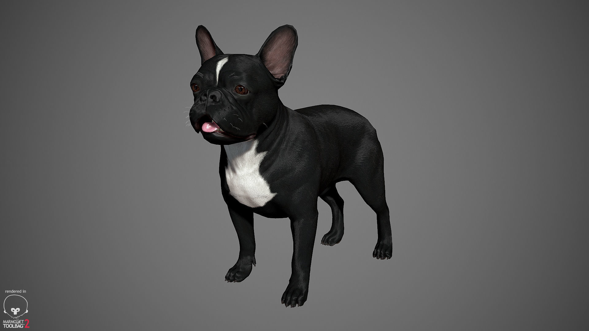 French Bulldog Real-Time Low-poly 3D model_19