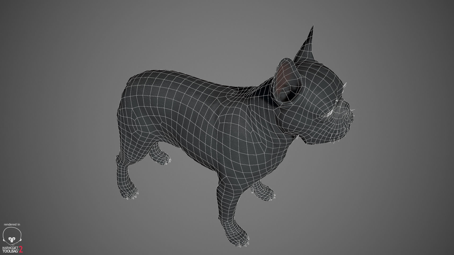 French Bulldog Real-Time Low-poly 3D model_25