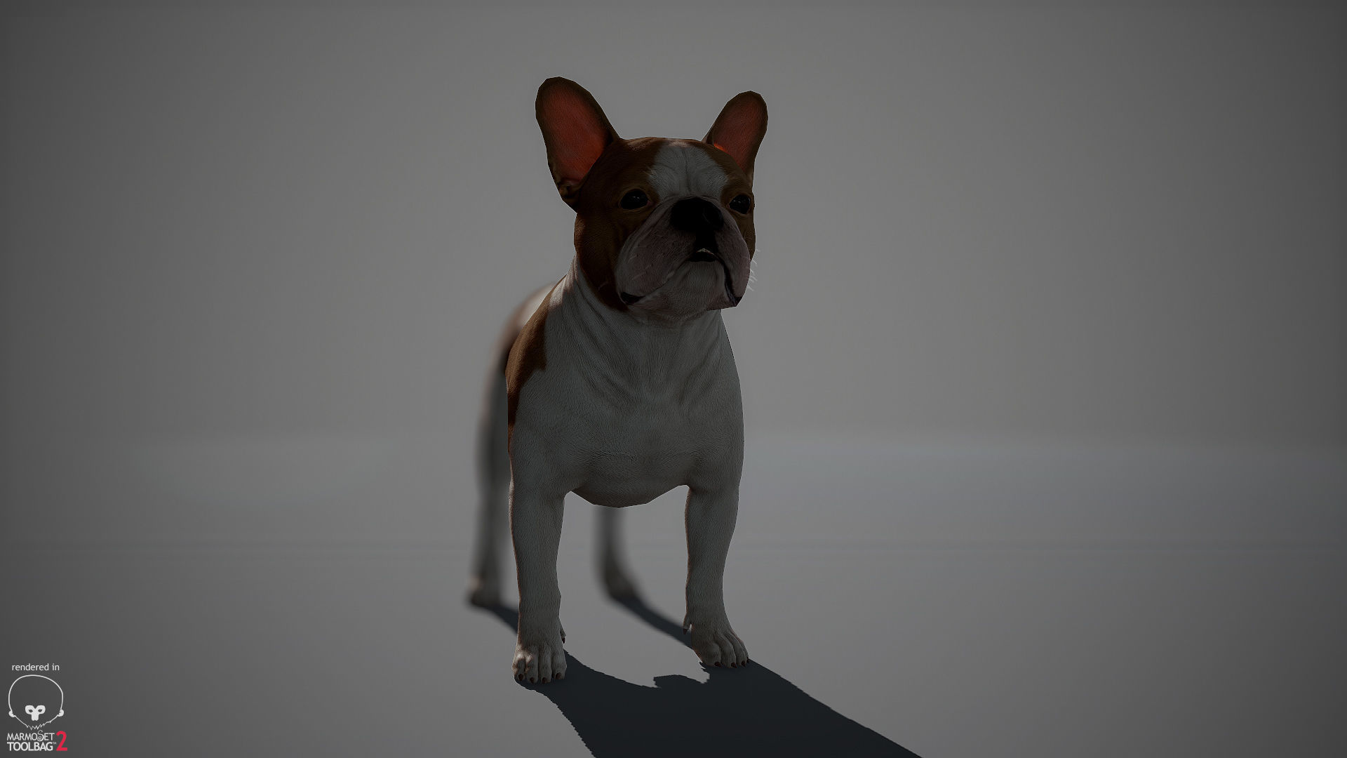 French Bulldog Real-Time Low-poly 3D model_14