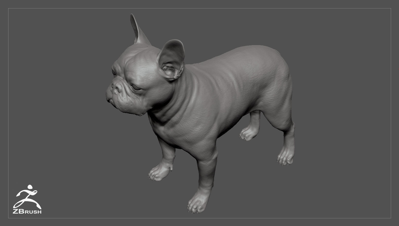 French Bulldog Real-Time Low-poly 3D model_29