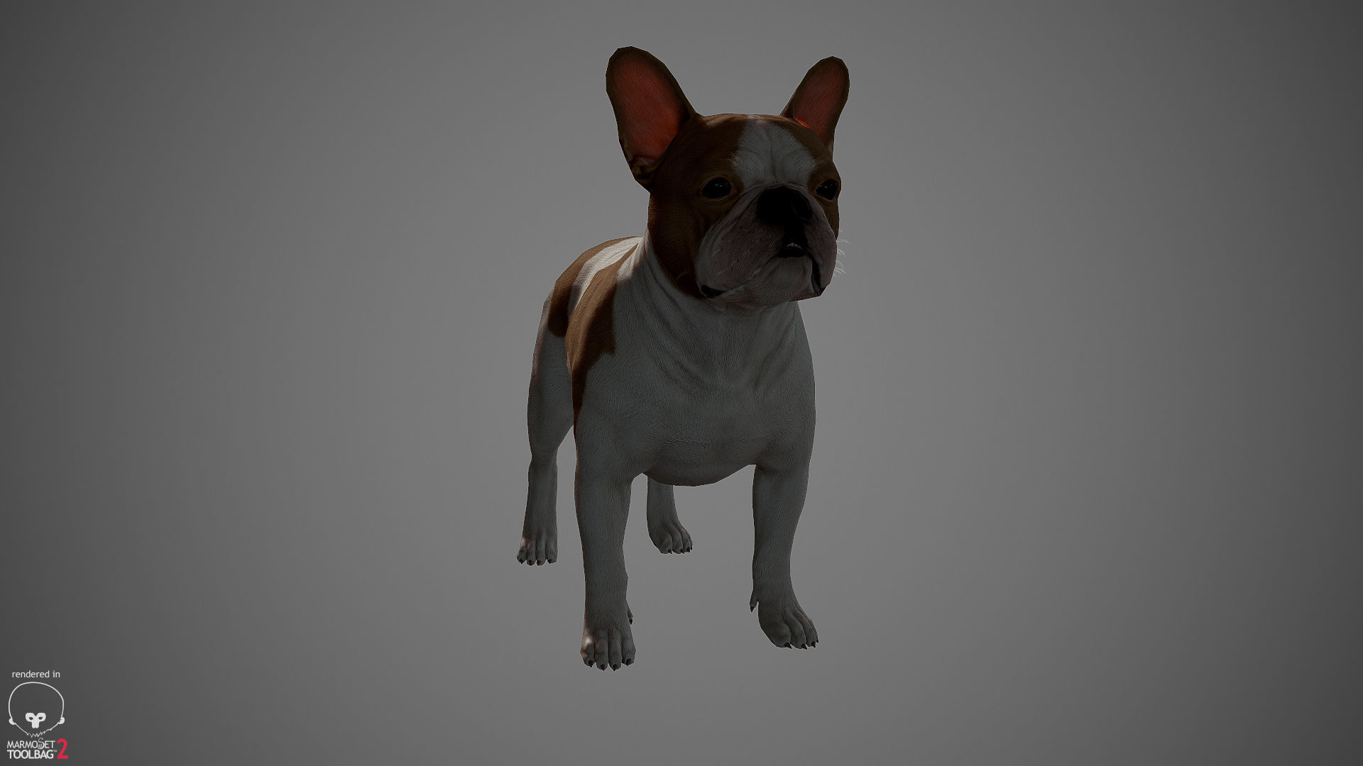 French Bulldog Real-Time Low-poly 3D model_11