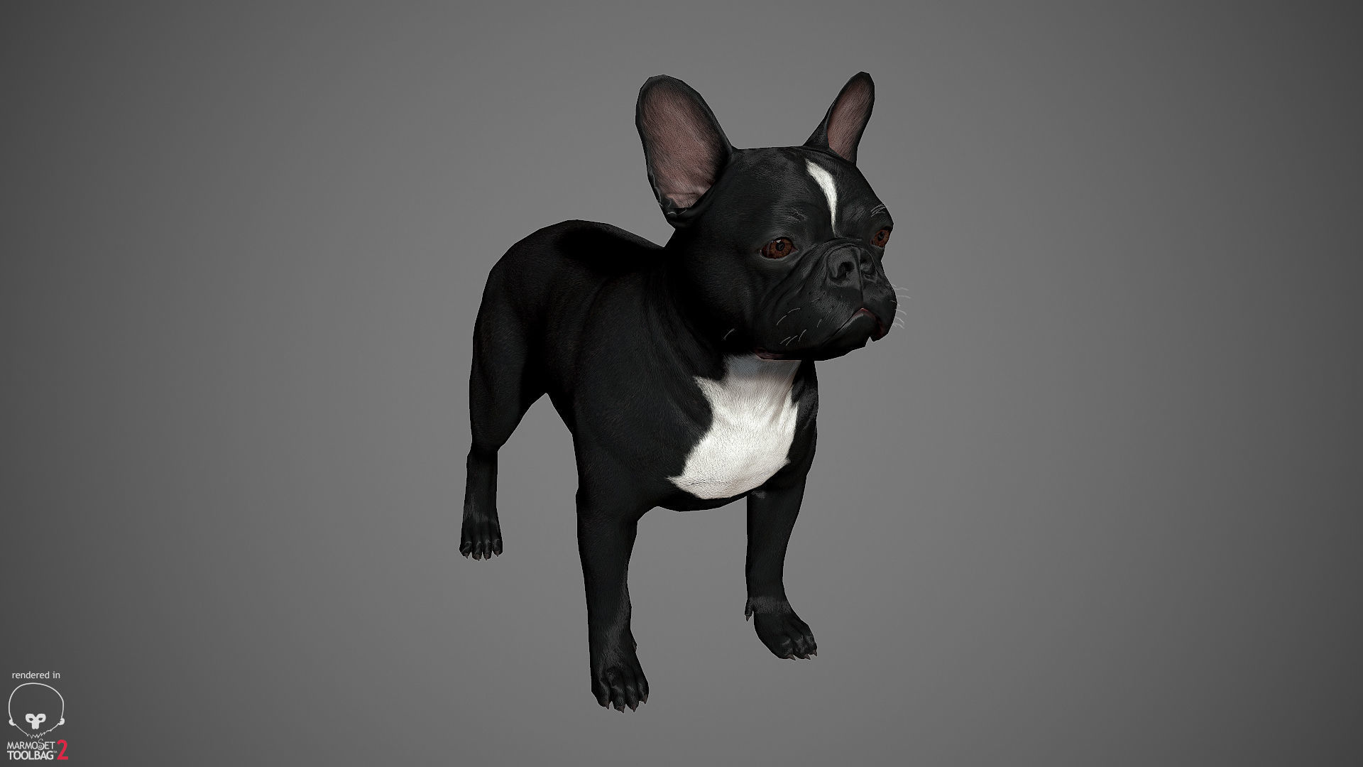 French Bulldog Real-Time Low-poly 3D model_18