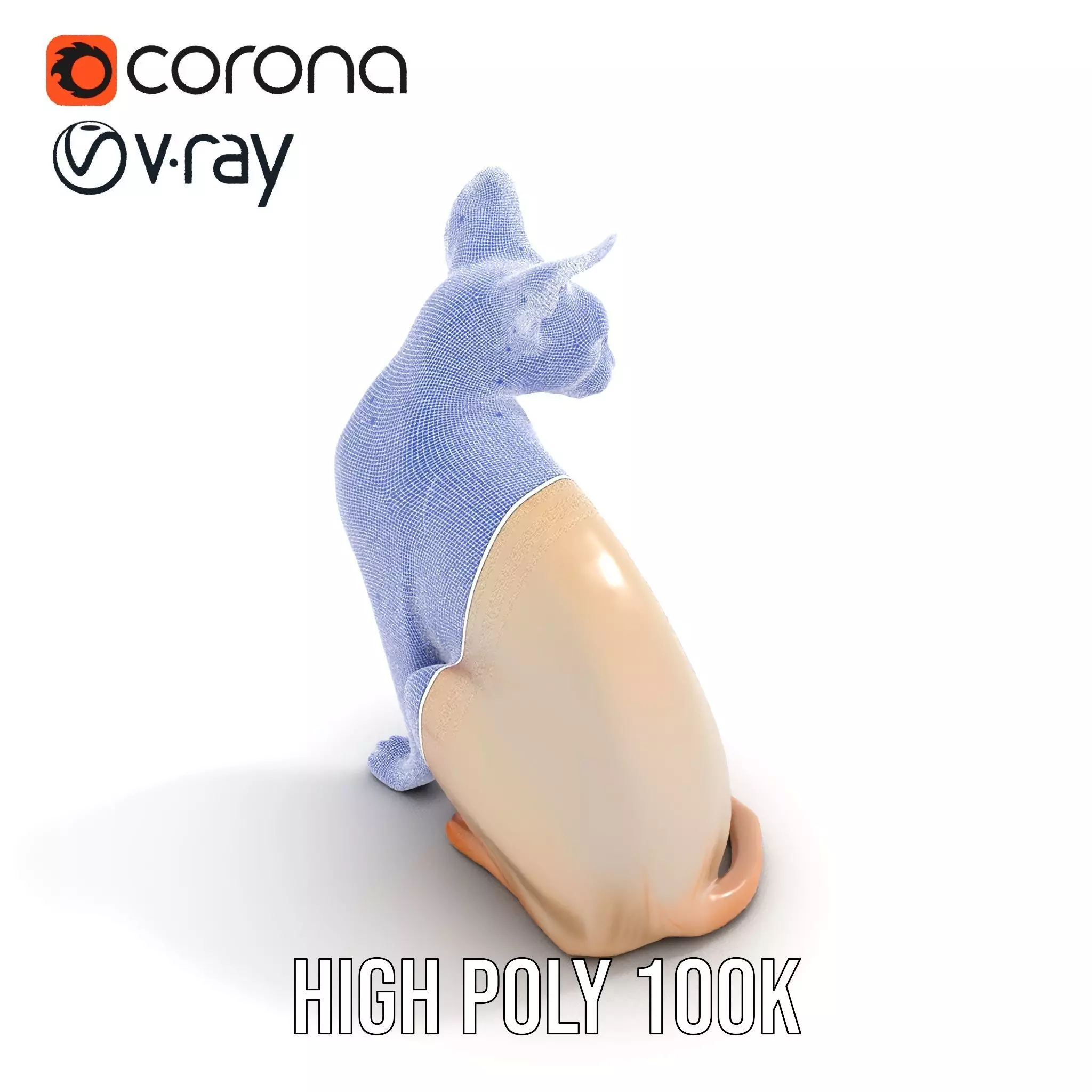 Sphynx Cat Elegance model pack Low-poly 3D model_26